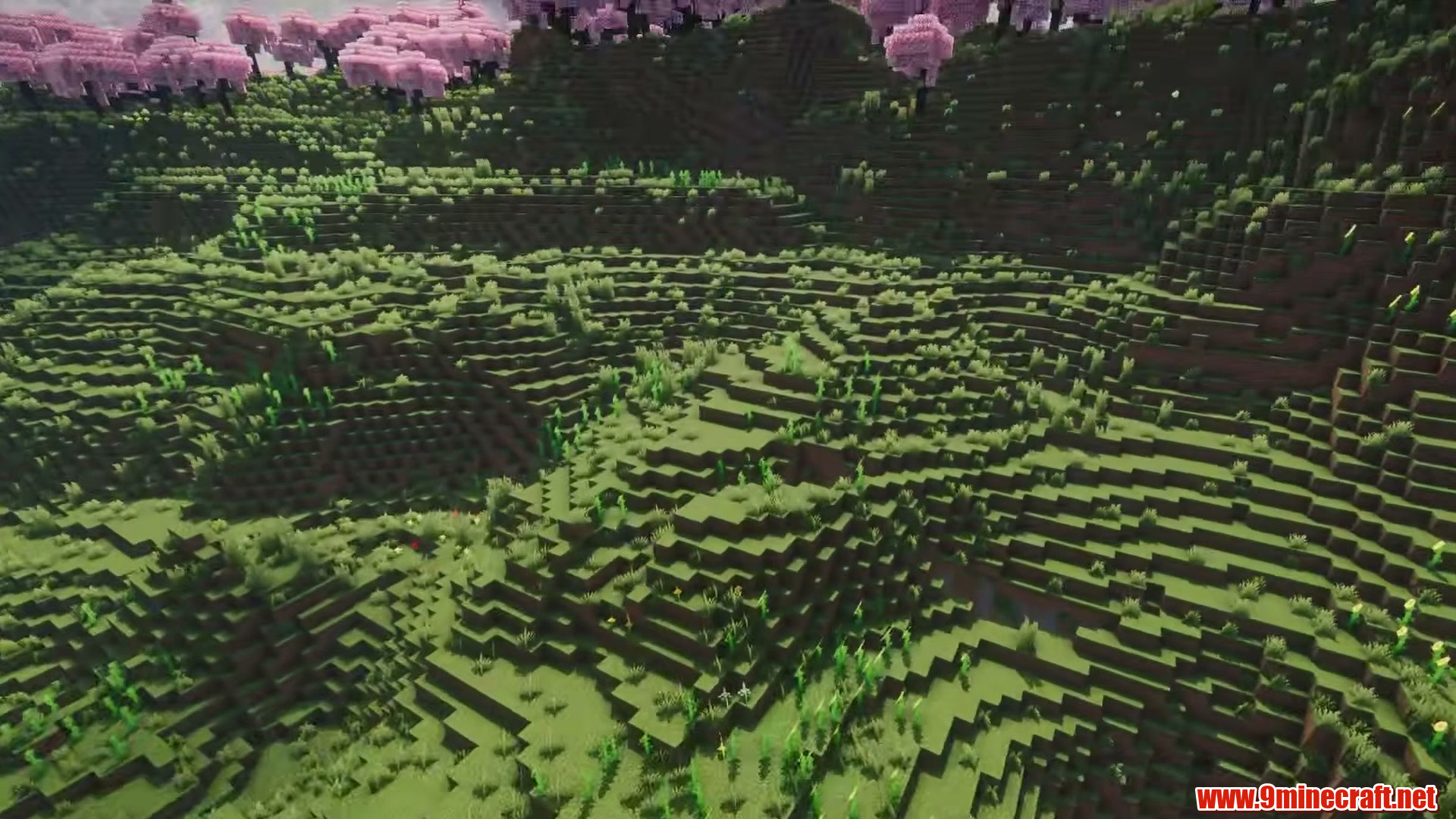 Terrain and landmarks in Minecraft seed -3553155275671954620