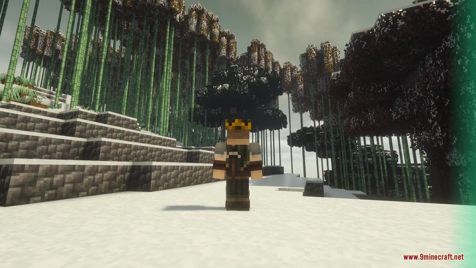 A Minecraft character wearing a crown stands in a snowy bamboo forest