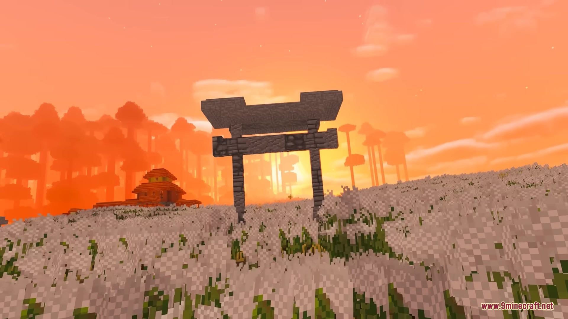 Stone torii gate in a field of white flowers during a beautiful sunset