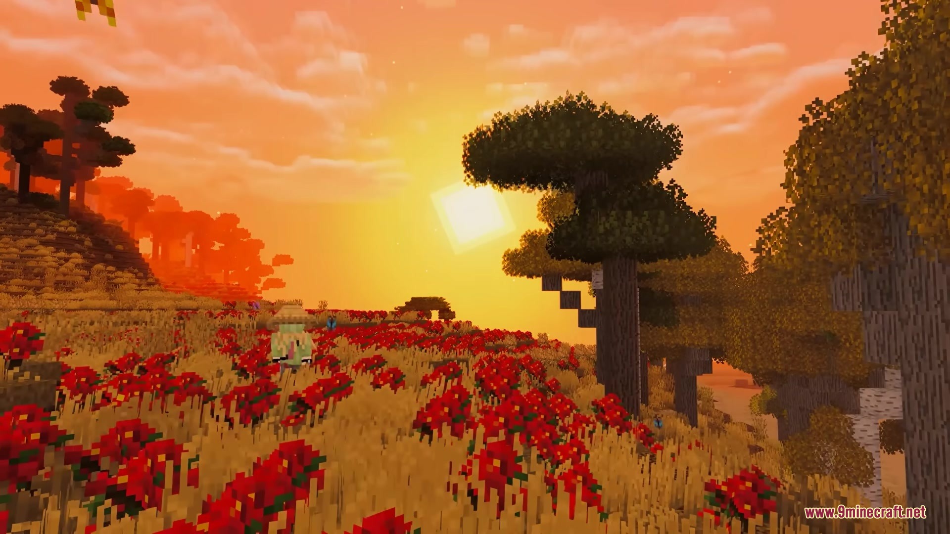 A field of red spider lilies under a vibrant orange sunset sky