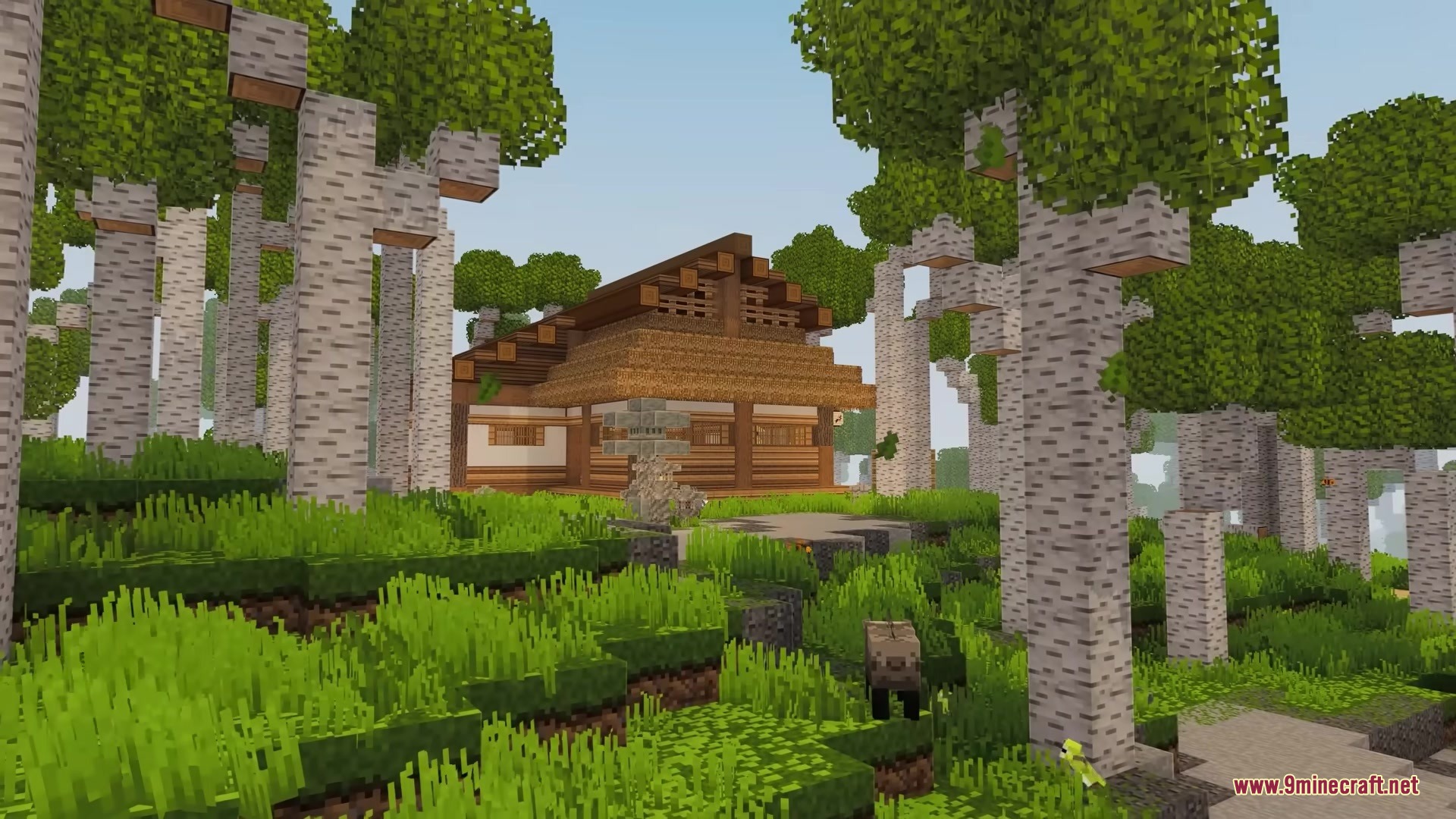 Traditional Japanese architecture surrounded by tall birch trees in a forest