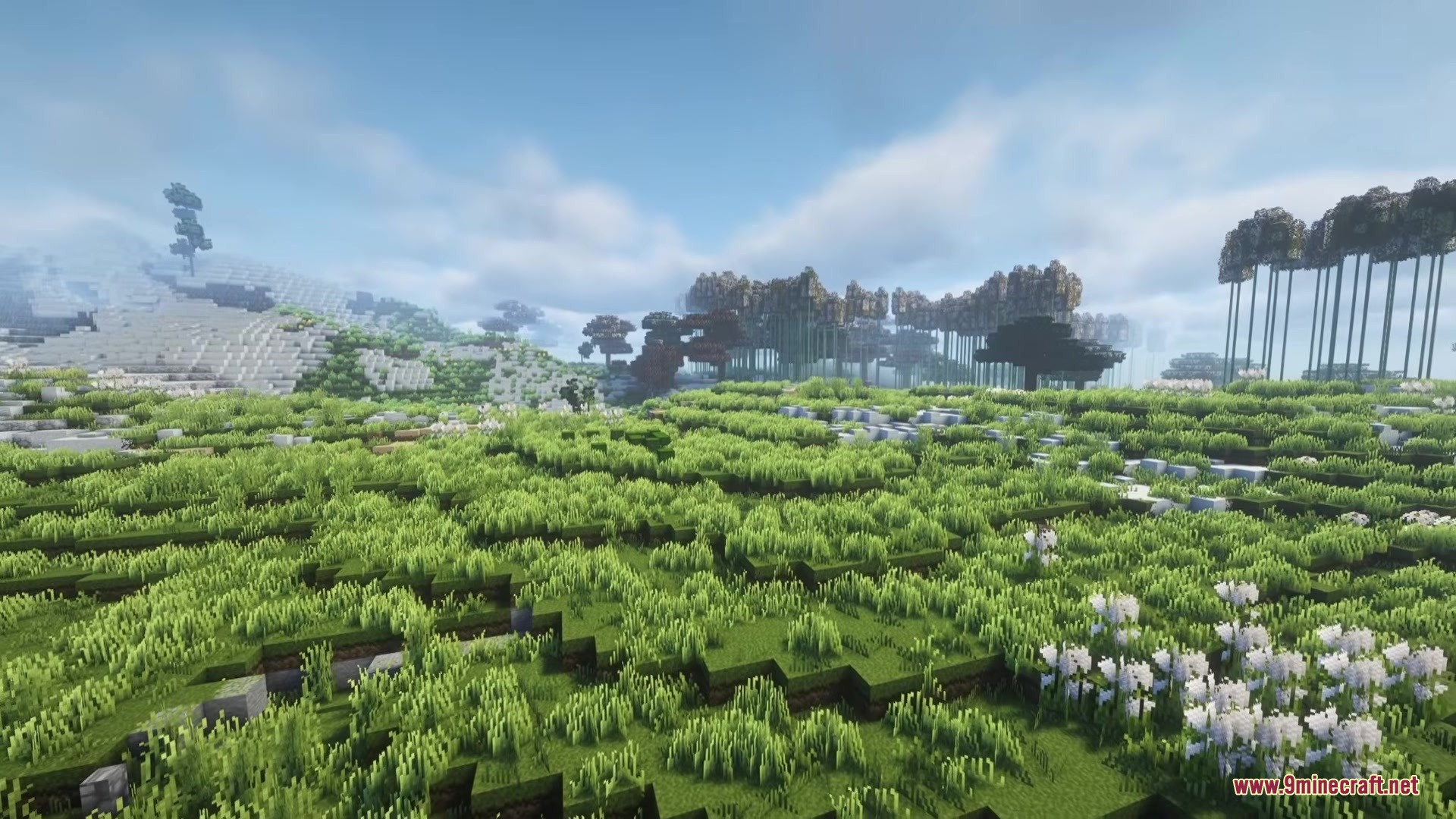 Lush green plains with white flowers and seasonal forests under a clear sky