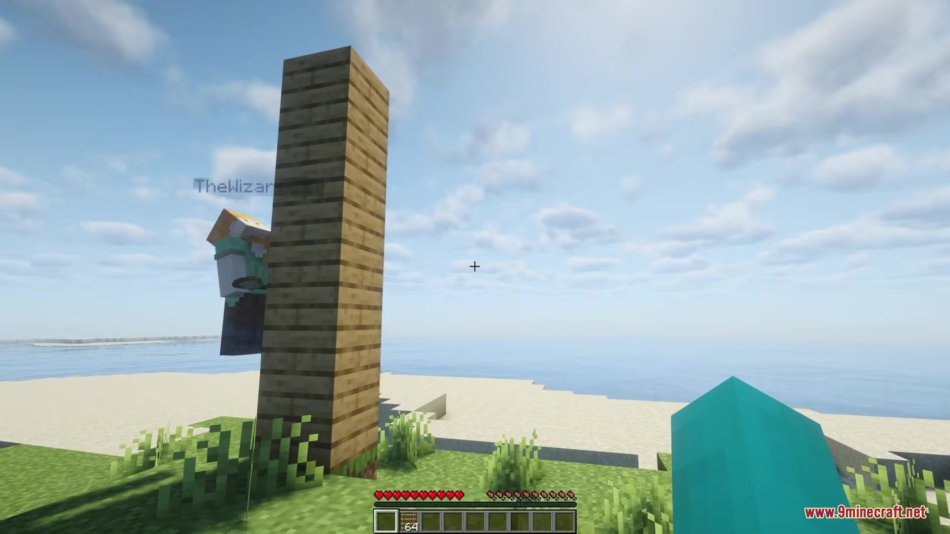 Shared Life Mod Screenshot 1 A player stands next to a tall pillar of wooden planks on grass