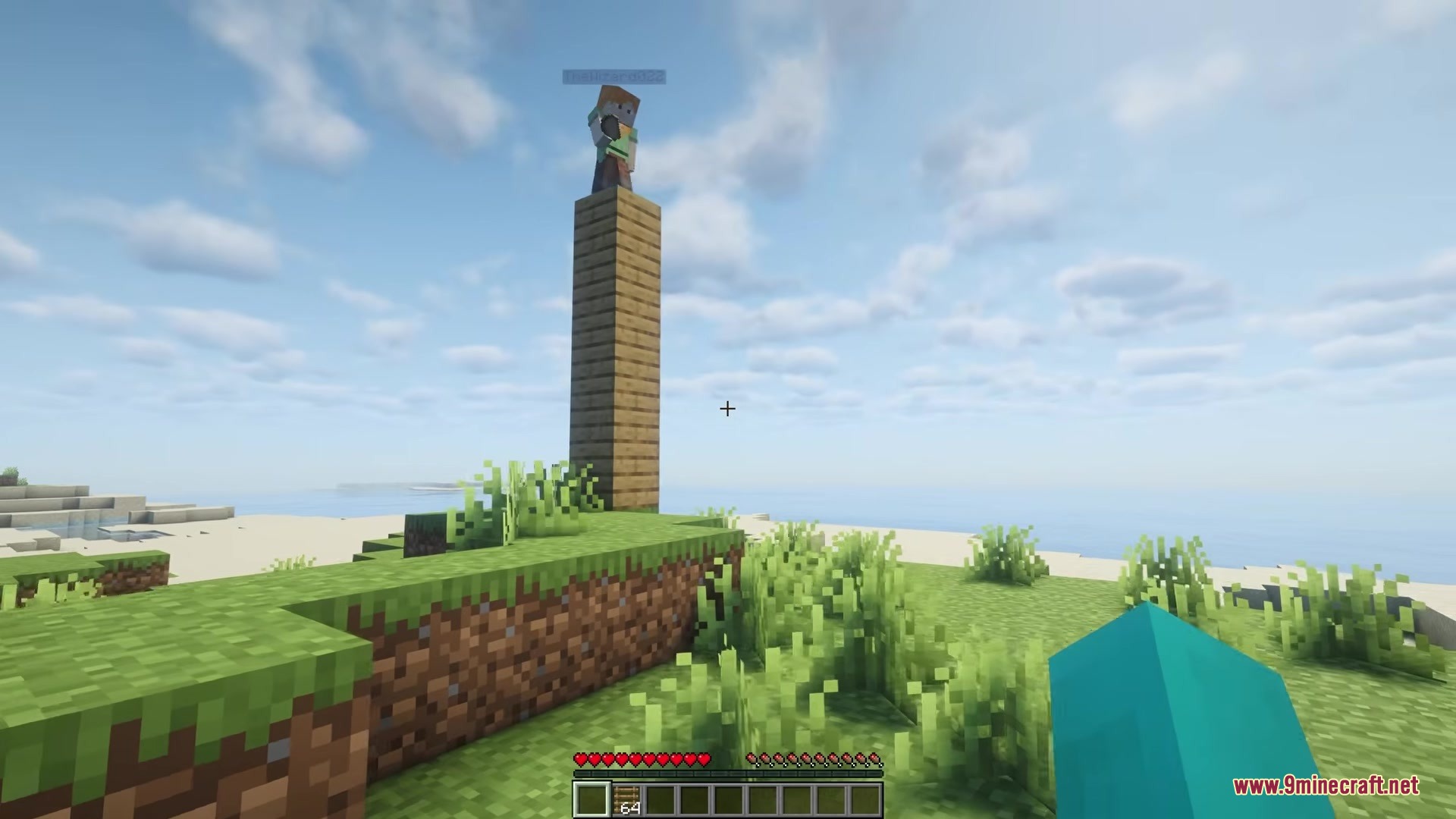 Shared Life Mod Screenshot 2 A player stands on top of a tall wooden plank pillar near water