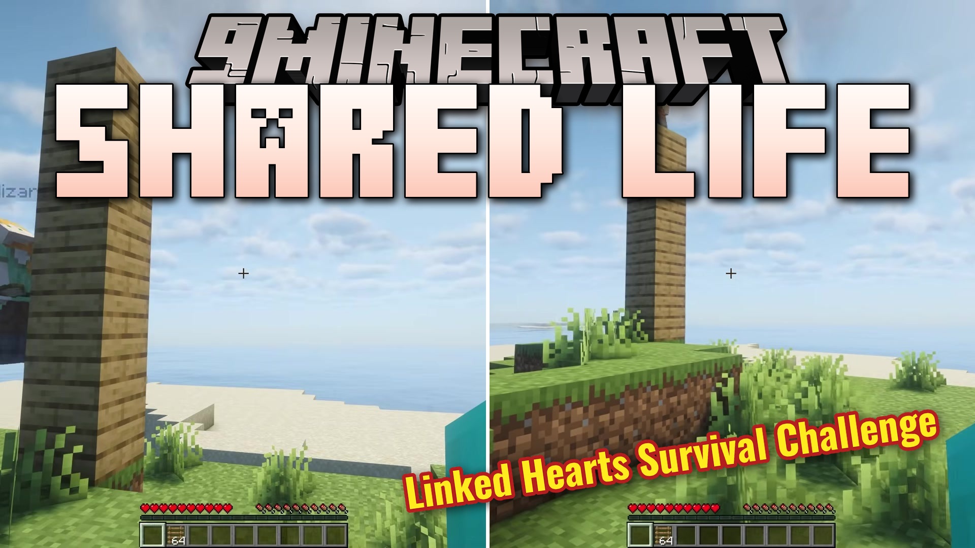 Shared Life Mod