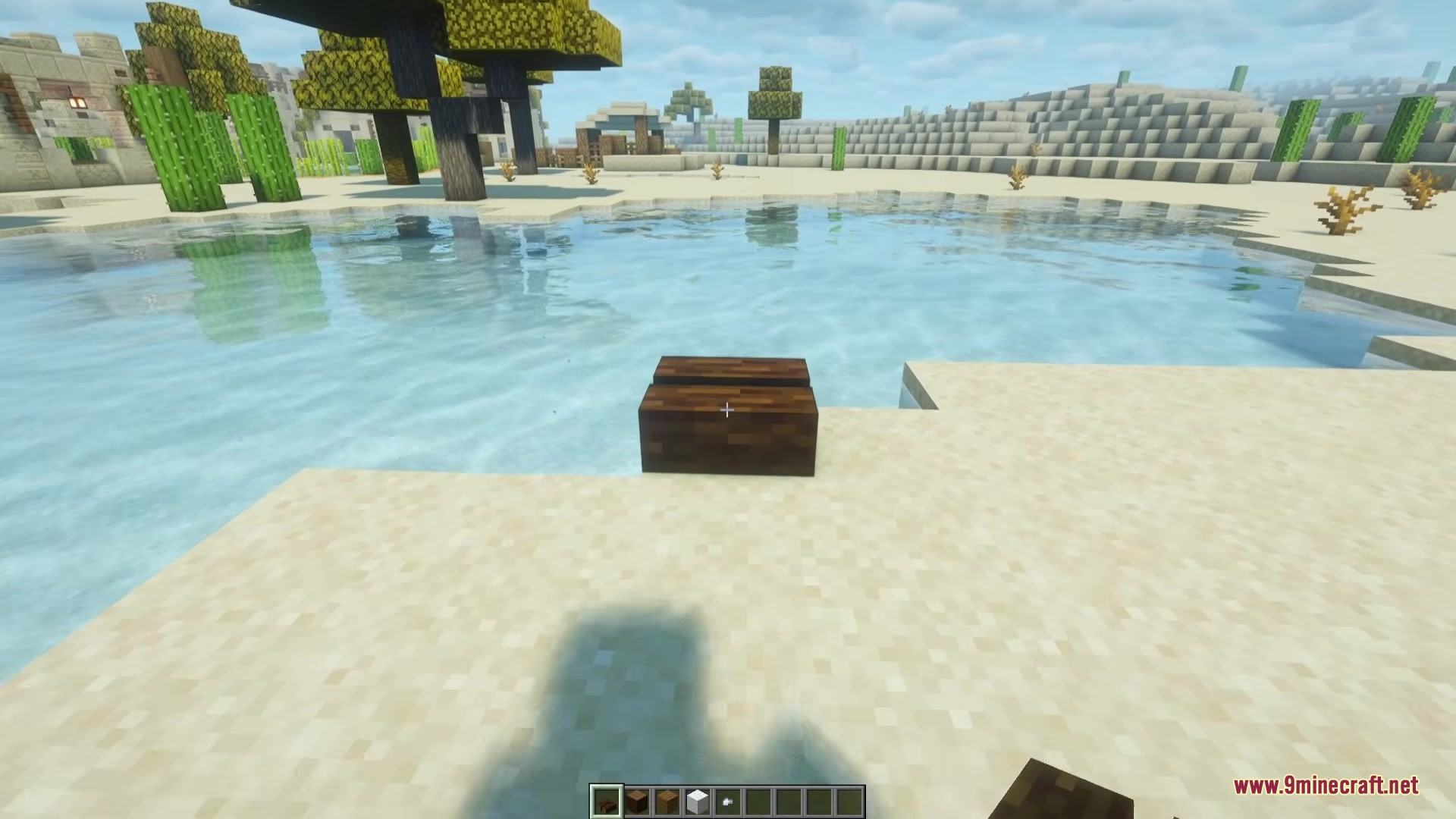 Shippy Ships Mod Screenshot 5 A dark oak boat item placed on the sand near a lake
