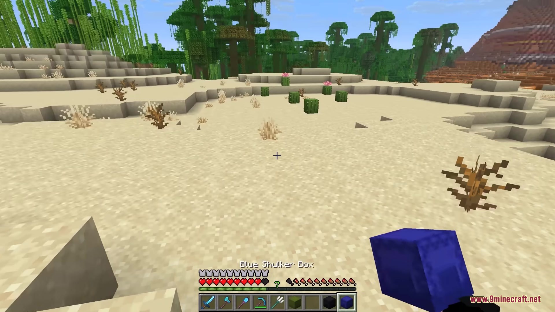 Shulker Peek Mod Screenshot 2 The player holds a blue shulker box in a vast desert landscape