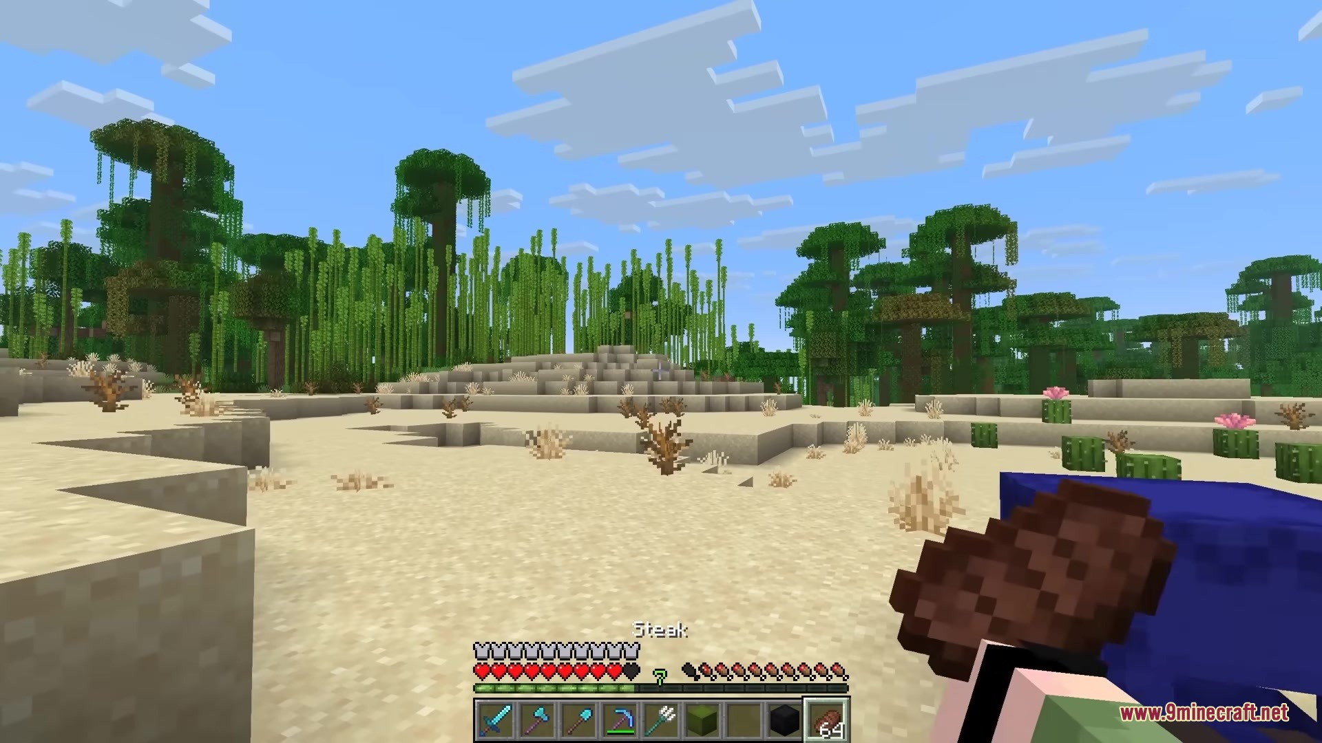 Shulker Peek Mod Screenshot 3 Player holding steak and a blue shulker box in a desert biome