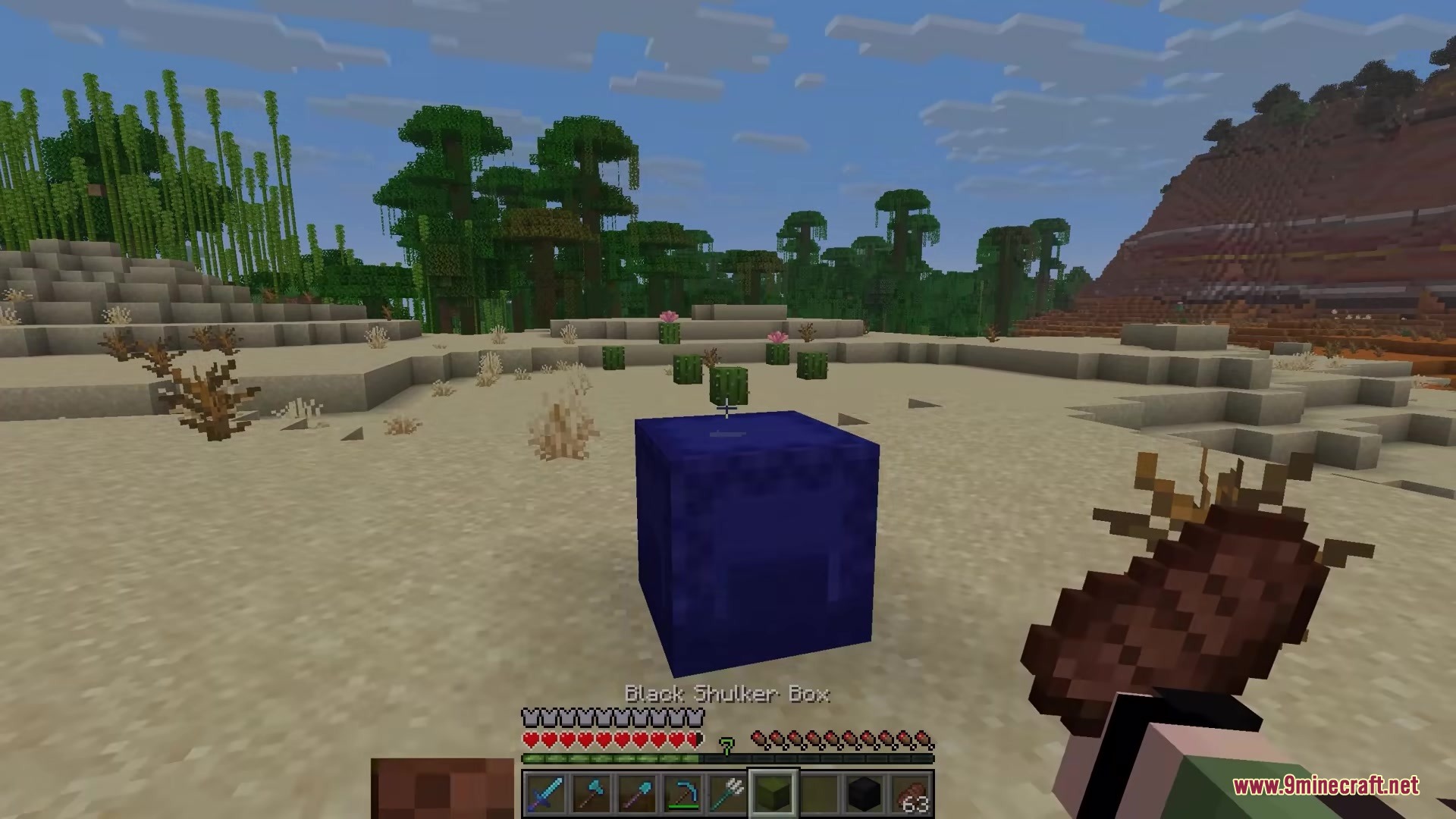 Shulker Peek Mod Screenshot 4 The player places a blue shulker box on the ground in Minecraft