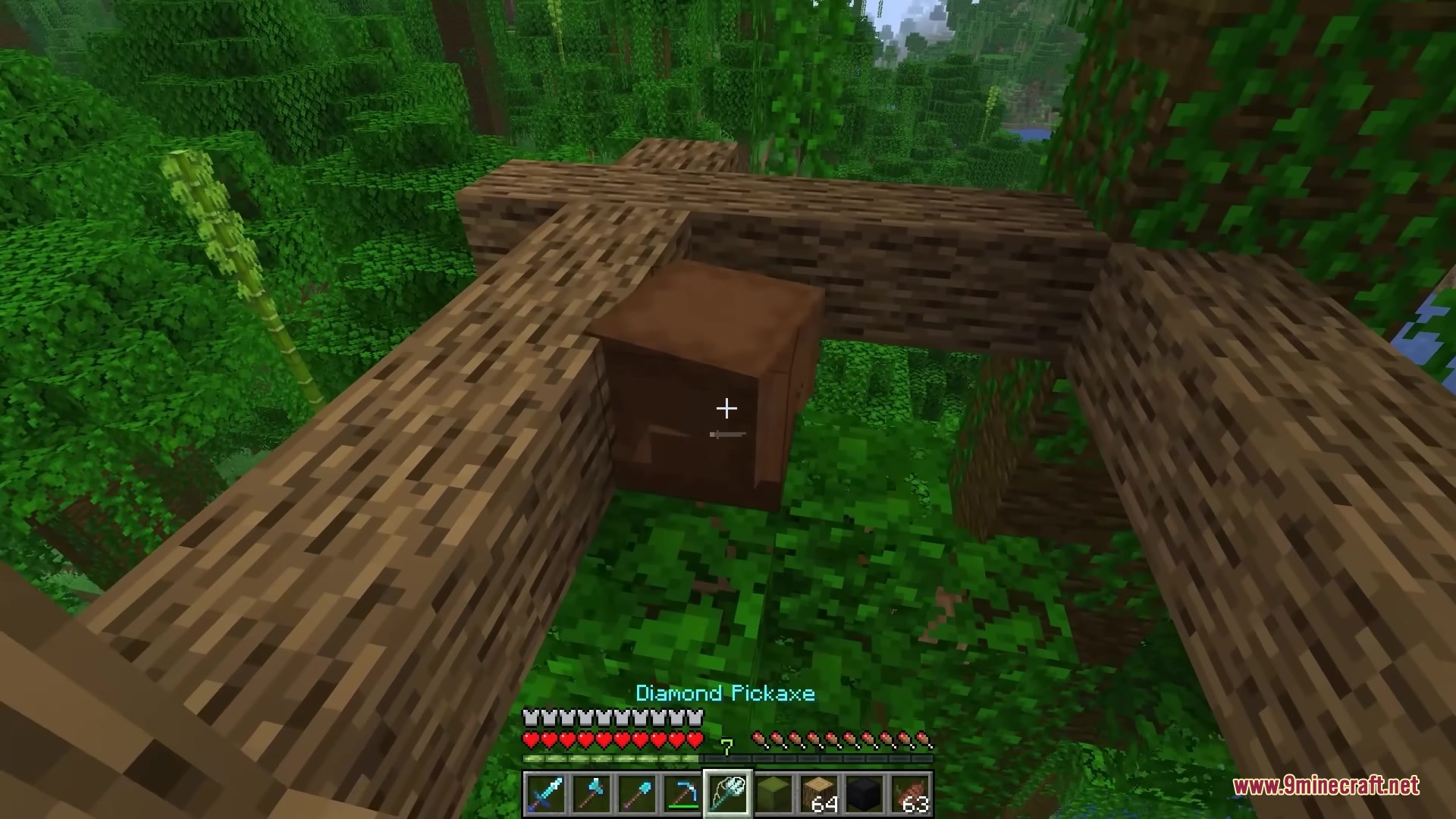 Shulker Peek Mod Screenshot 5 A player looking at a brown shulker box placed on jungle wood logs