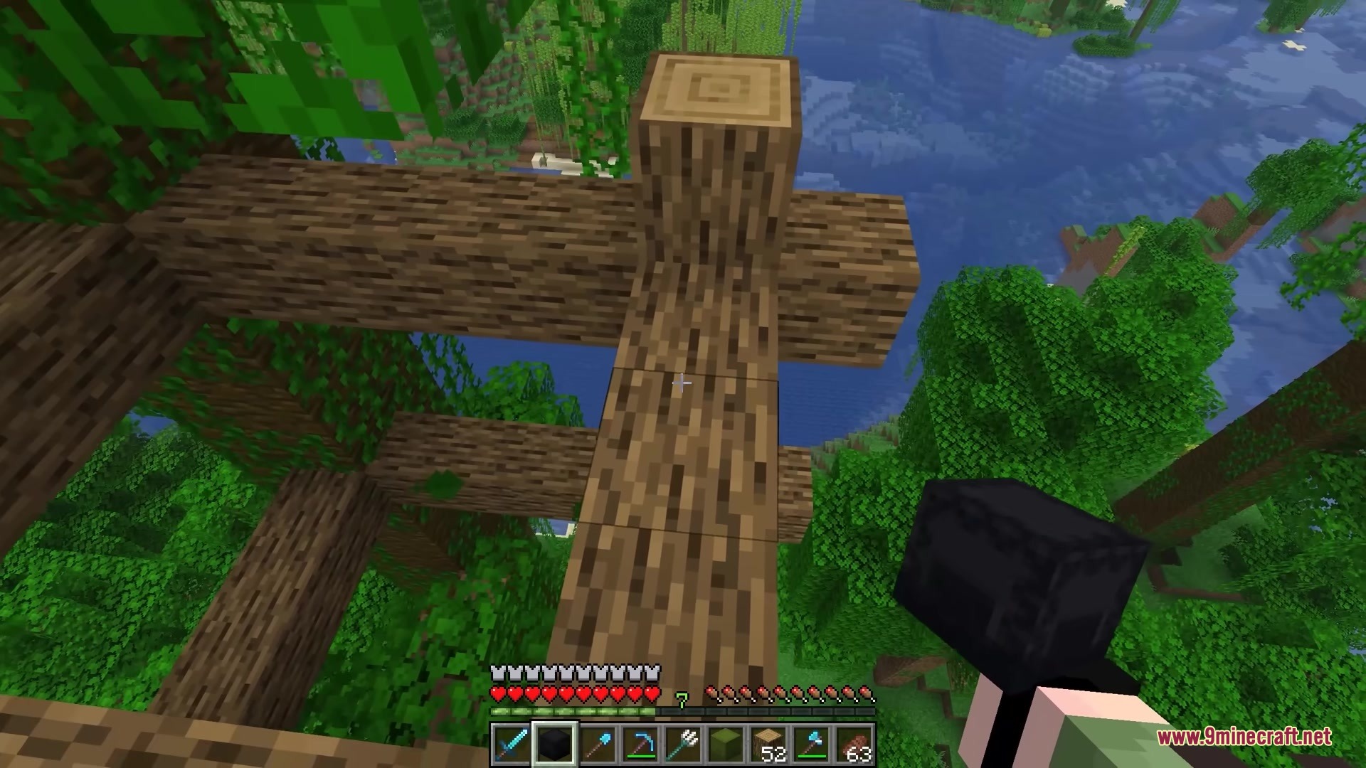 Shulker Peek Mod Screenshot 6 A player holding a black shulker box while standing in a jungle