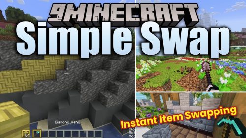 Simple Swap Mod