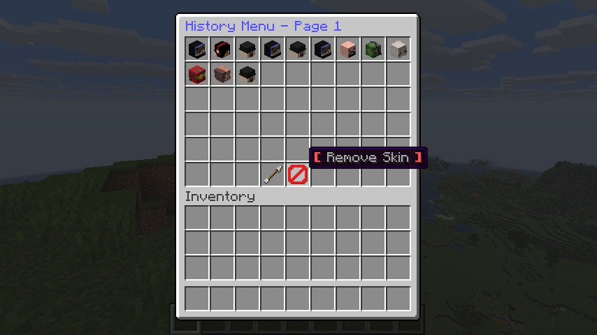 The history menu displays a list of previously used player skins