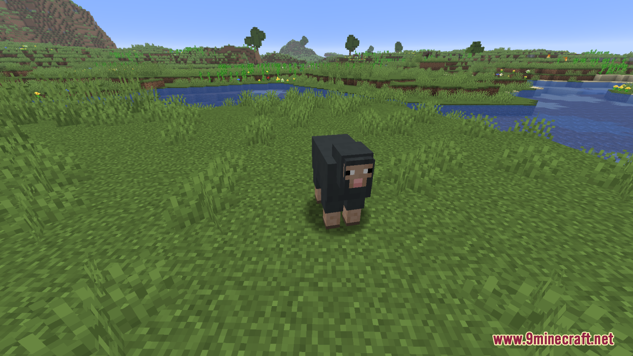 Smooth Entity Shadows Resource Pack Screenshot 10 A black sheep in a grassy field with a smooth circular shadow