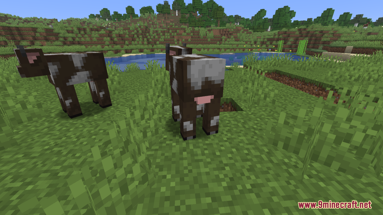 Smooth Entity Shadows Resource Pack Screenshot 3 Two cows standing on grass with soft circular shadows underneath their bodies