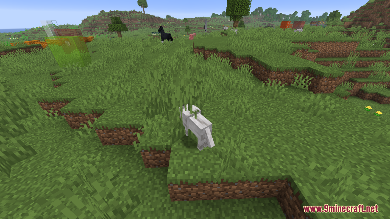 Smooth Entity Shadows Resource Pack Screenshot 8 A white wolf in tall grass showing a smooth and round entity shadow