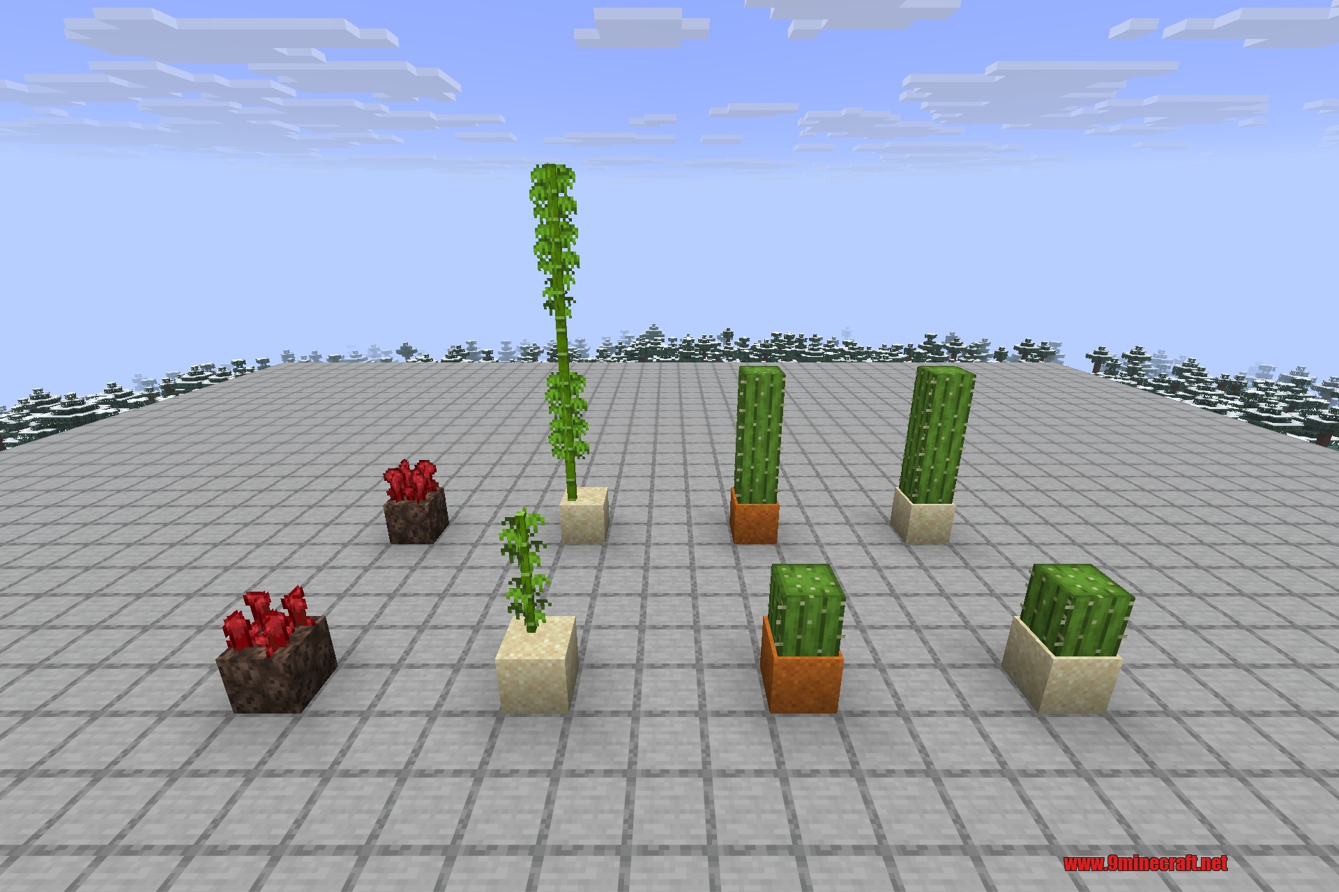Snad 9minecraft Mod Screenshot 1 Cactus bamboo and nether wart growing on specialized sand blocks in Minecraft