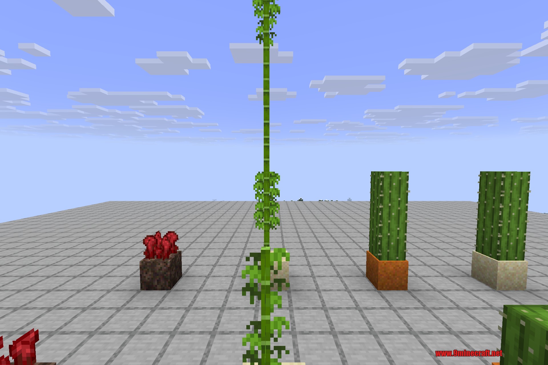 Snad 9minecraft Mod Screenshot 4 Close up view of tall bamboo and cactus growing on special sand blocks