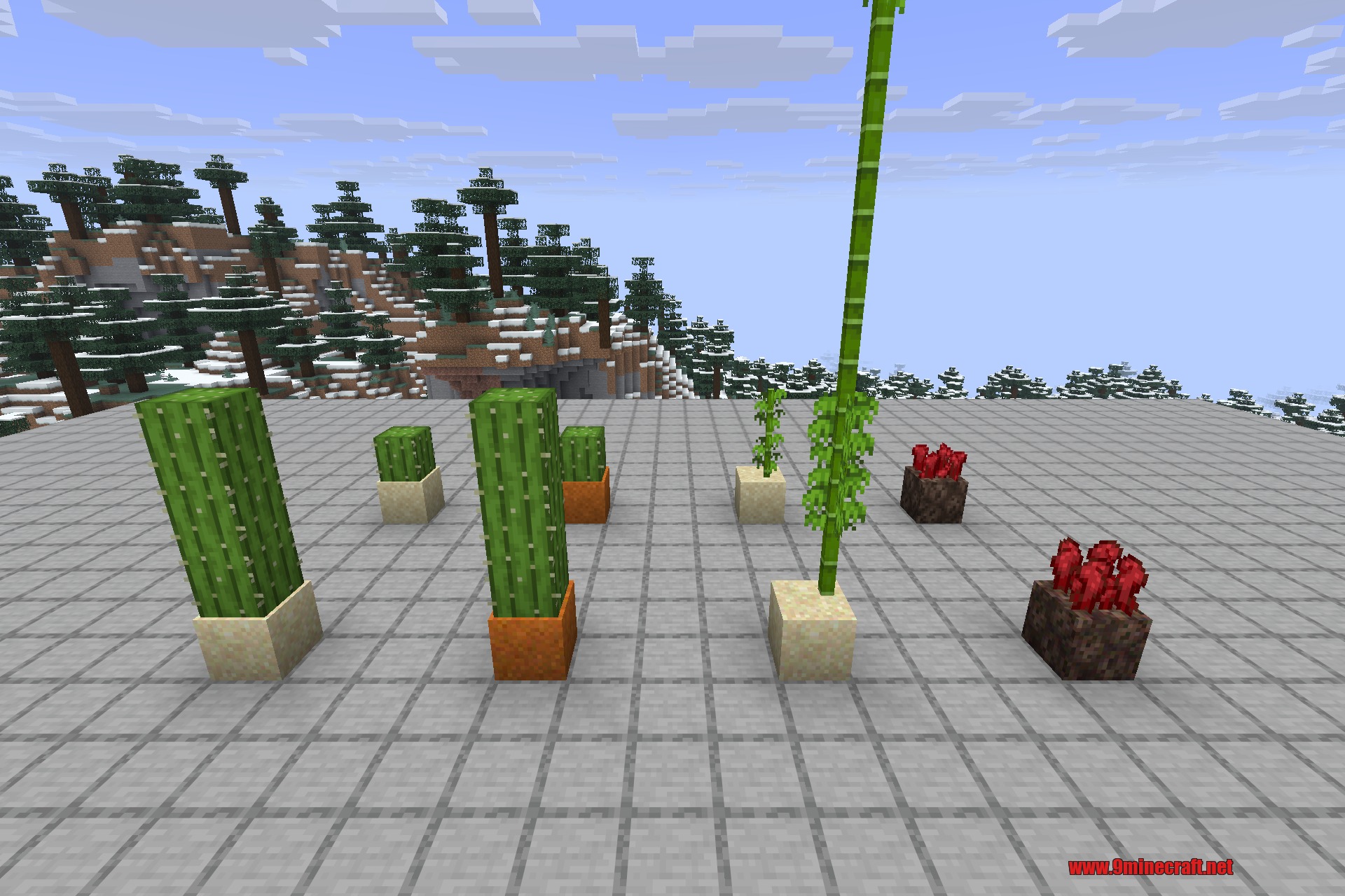 Snad 9minecraft Mod Screenshot 6 Cactus bamboo and nether wart growing on Snad and Suol Snad blocks