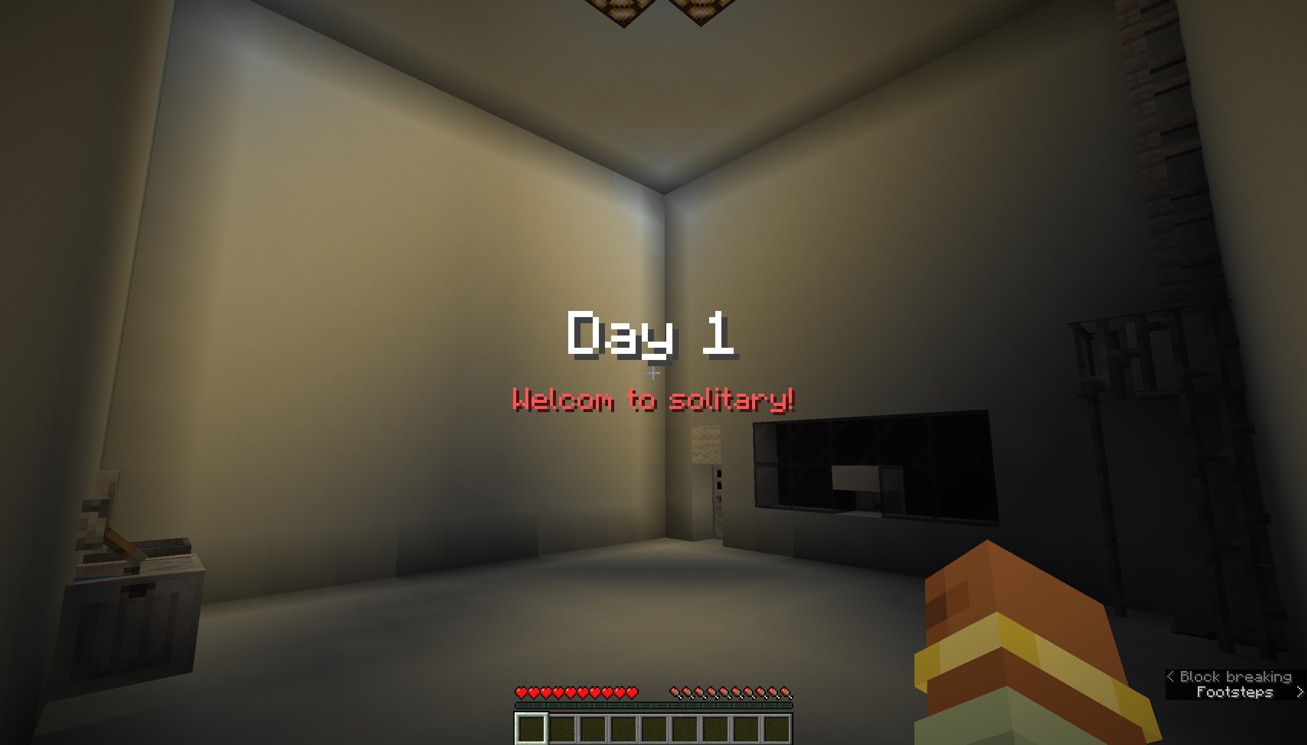 Solitary Map Screenshot 2 A player starts Day one inside a plain white solitary confinement room
