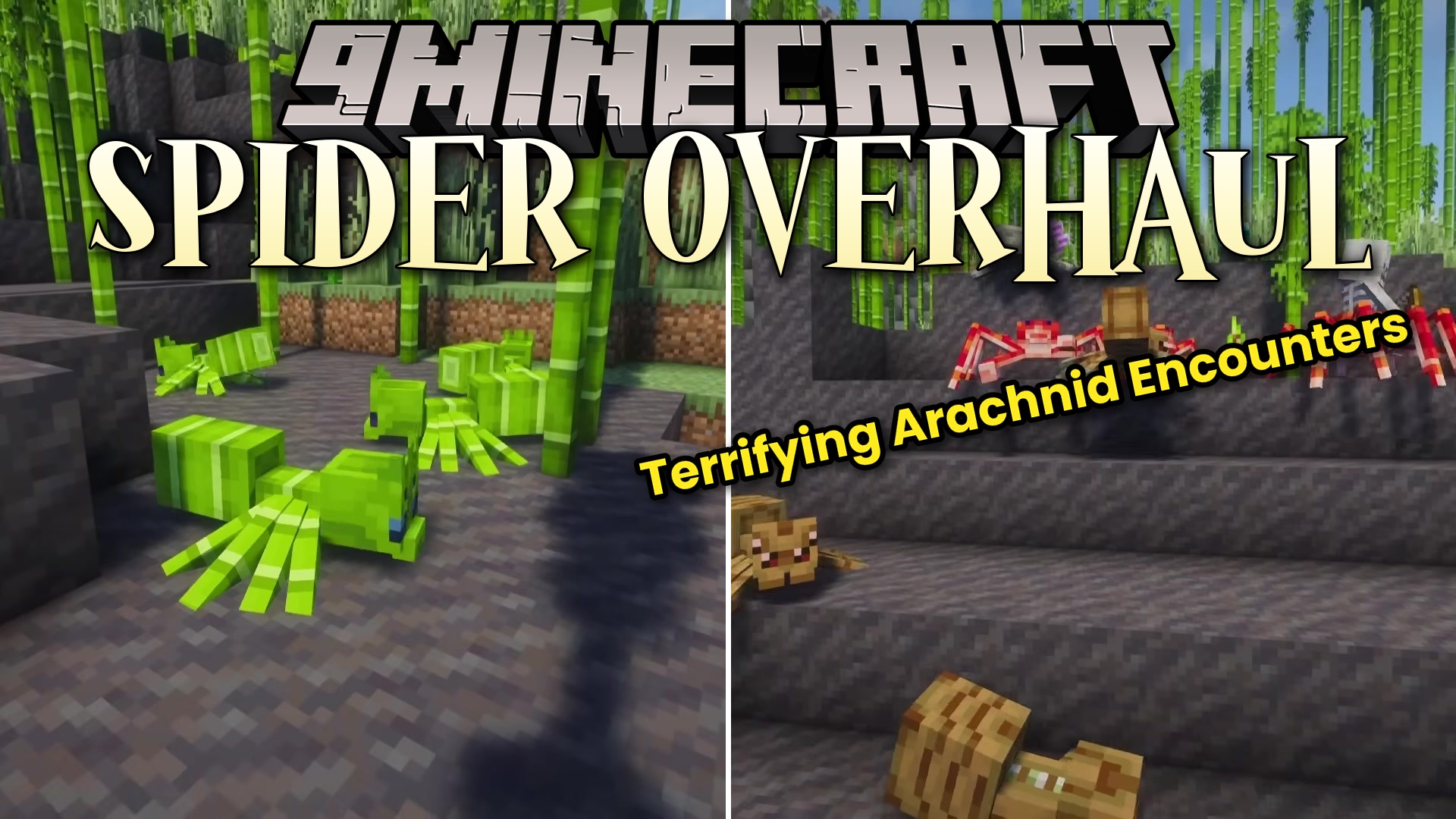 Spider Overhaul Mod