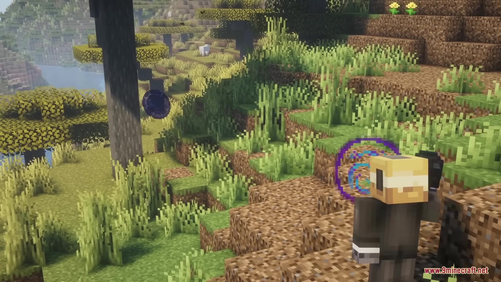 A player examines a purple spatial rift anomaly from the Strange Matter Mod