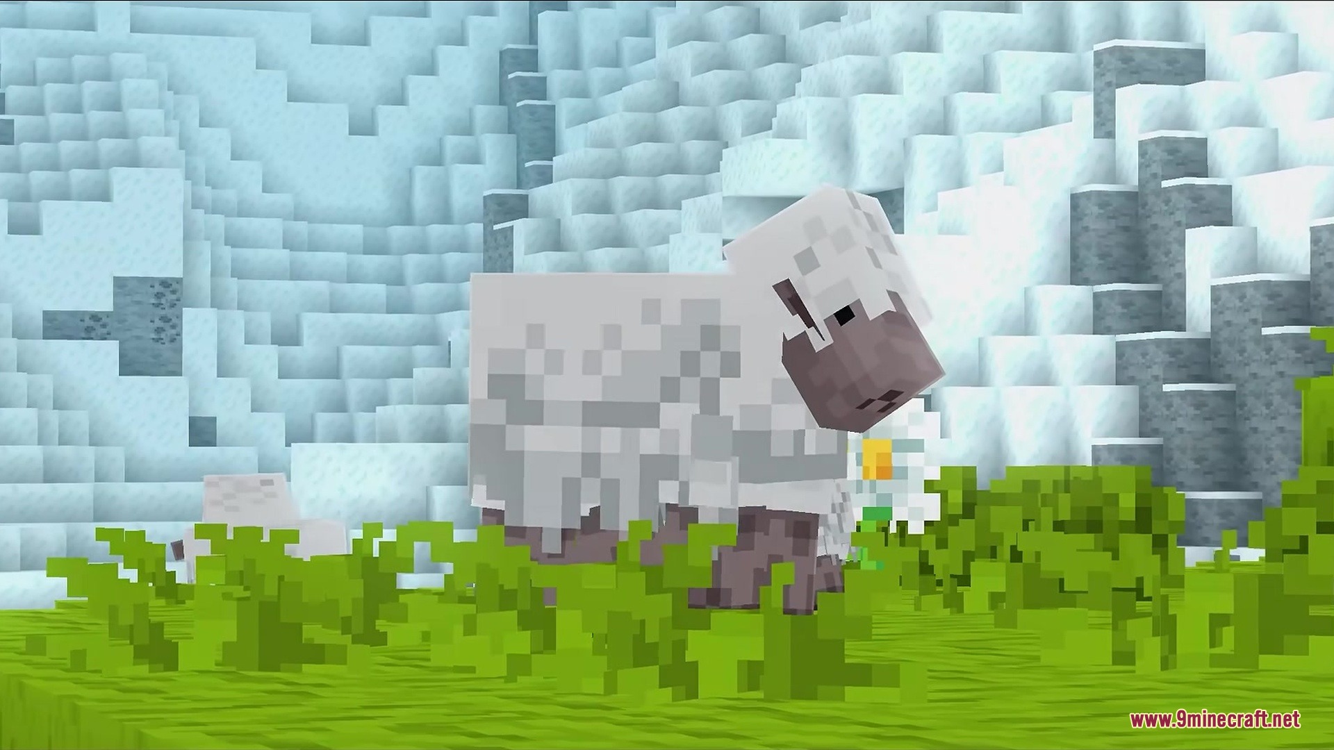 A white sheep standing in green grass with a snowy mountain background