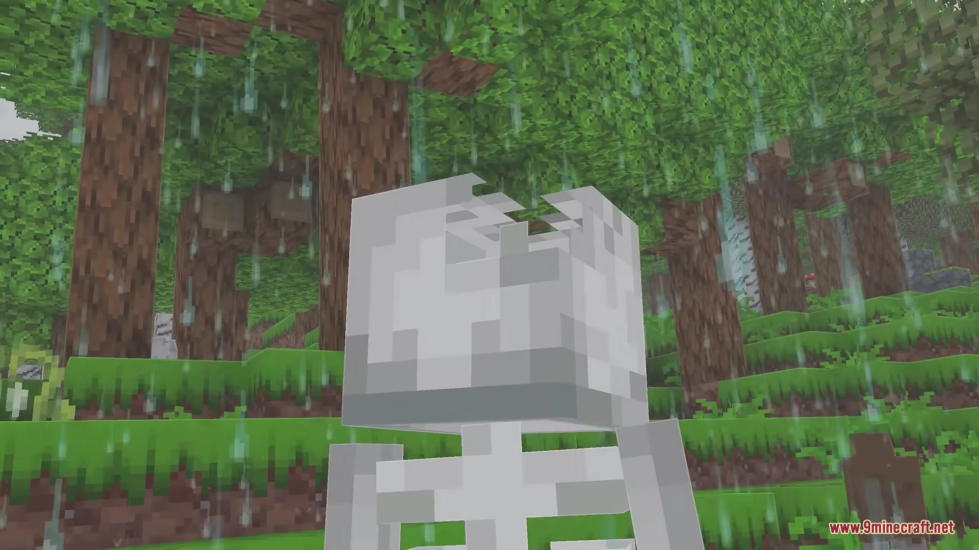 A skeleton with a cracked skull stands in a rainy forest