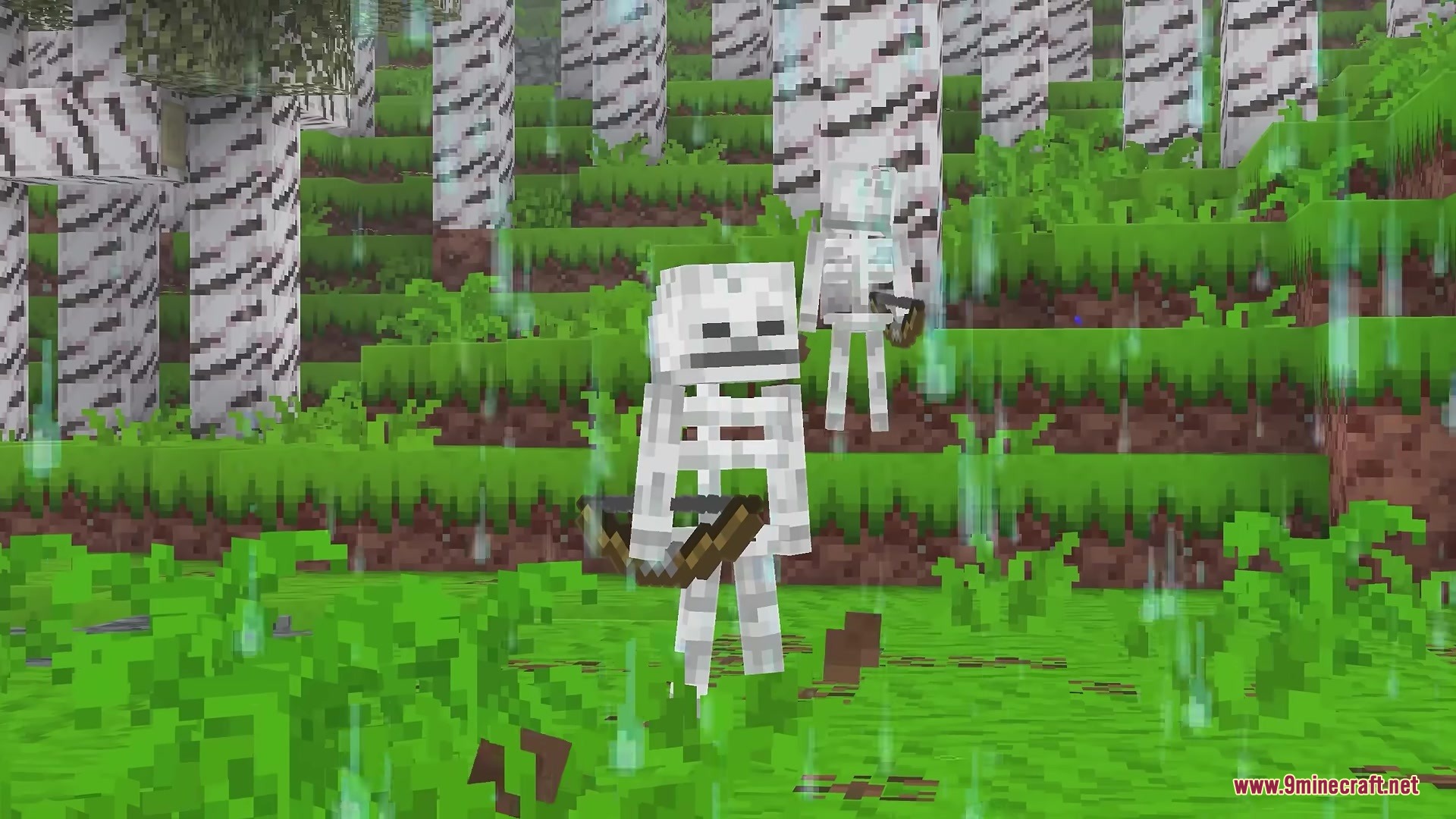 Two skeletons holding bows in a birch forest during a rainy day