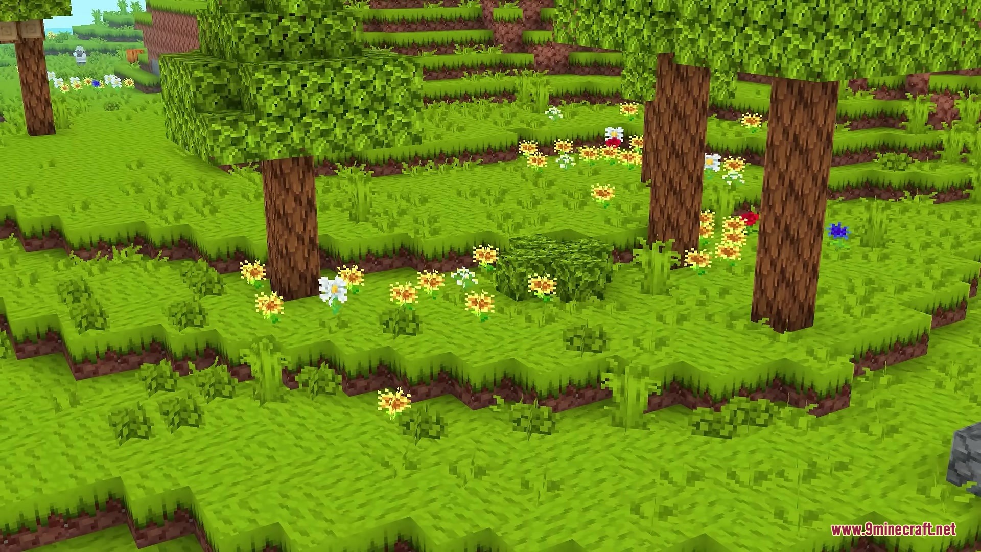 A vibrant forest landscape showcasing colorful flowers and bright green grass textures