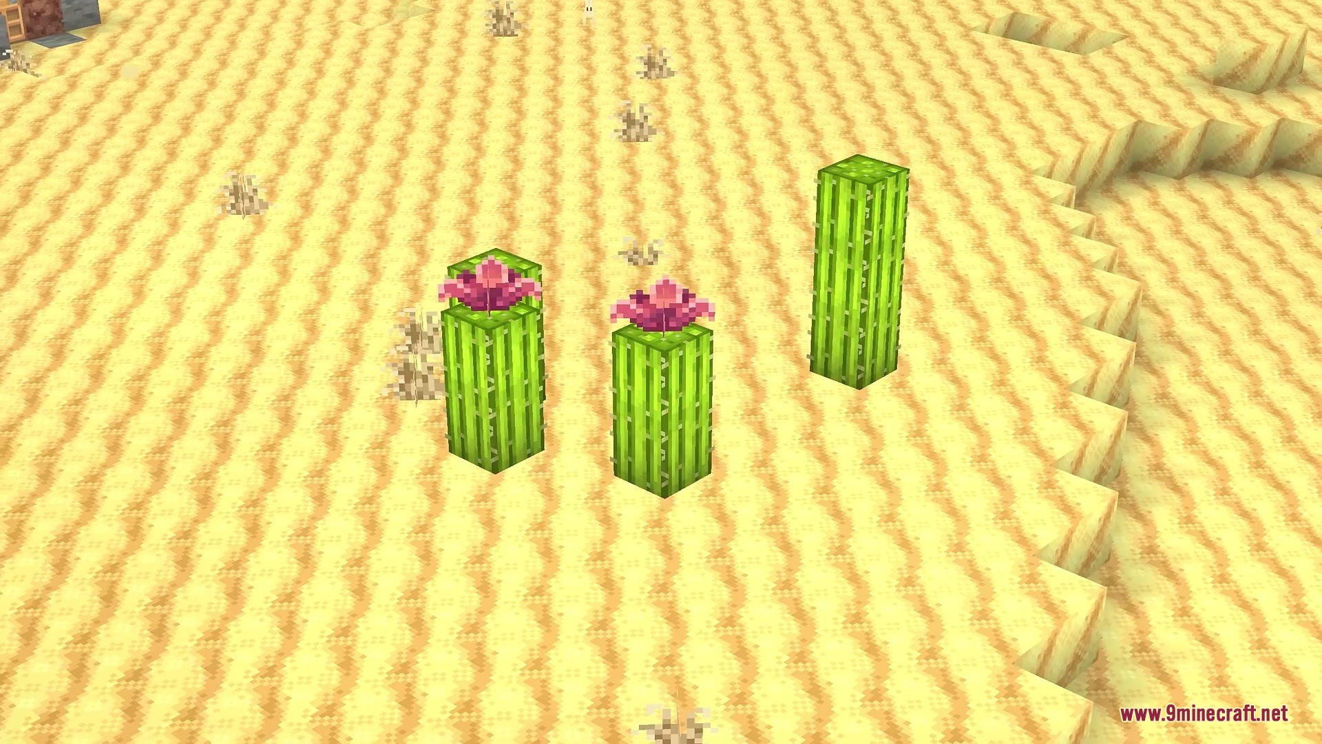 Stupendous Visuals Resource Pack adds bright pink flowers to desert cacti blocks