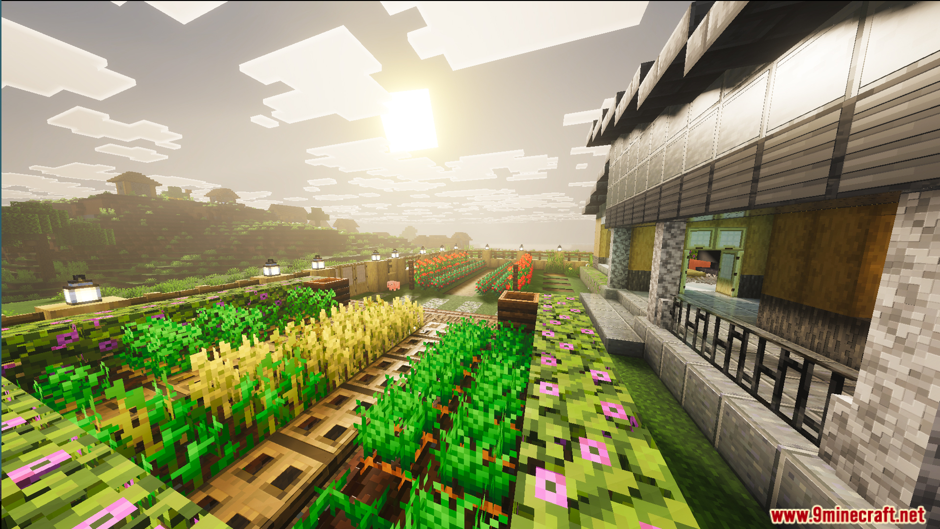 A sunny garden with crops in the Survival Modern House 19 Map