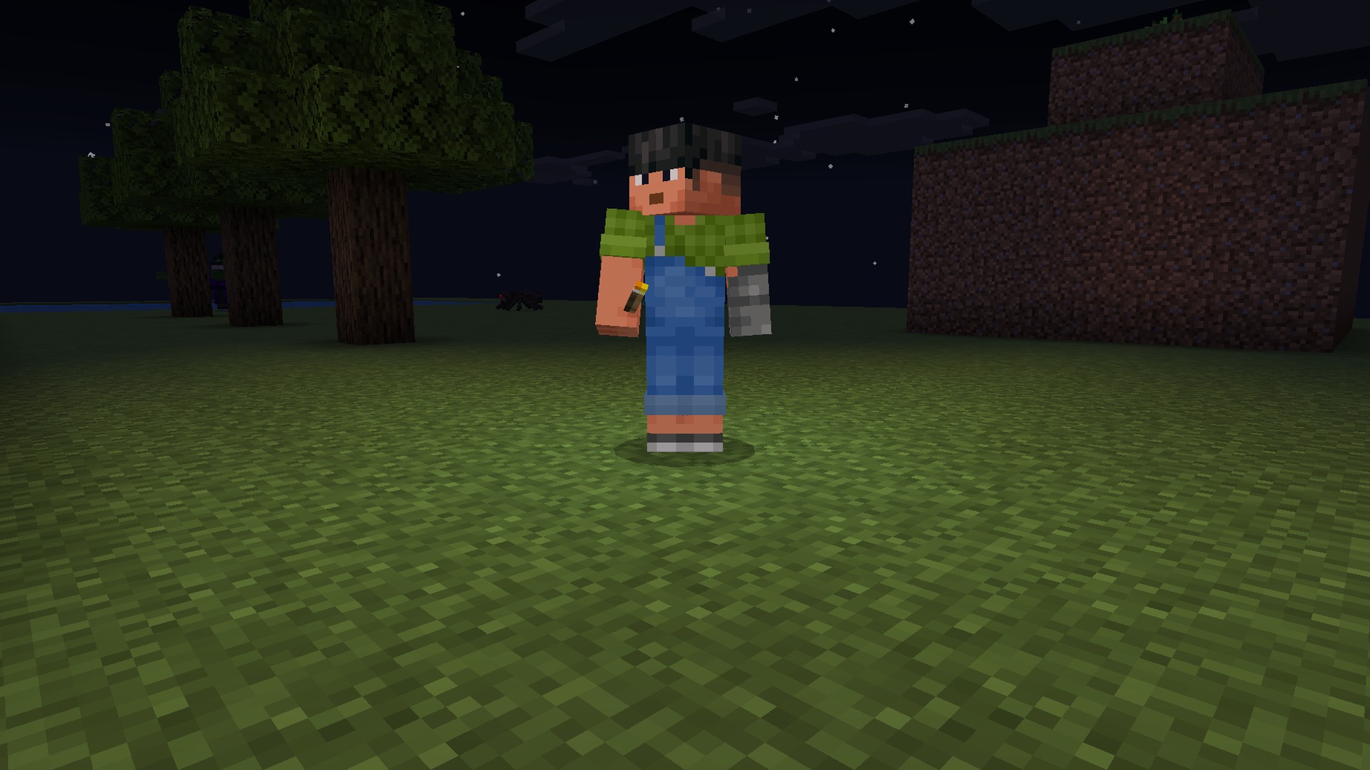 System Dynamic Light Screenshot 1 Holding a torch lights up the ground around the player at night