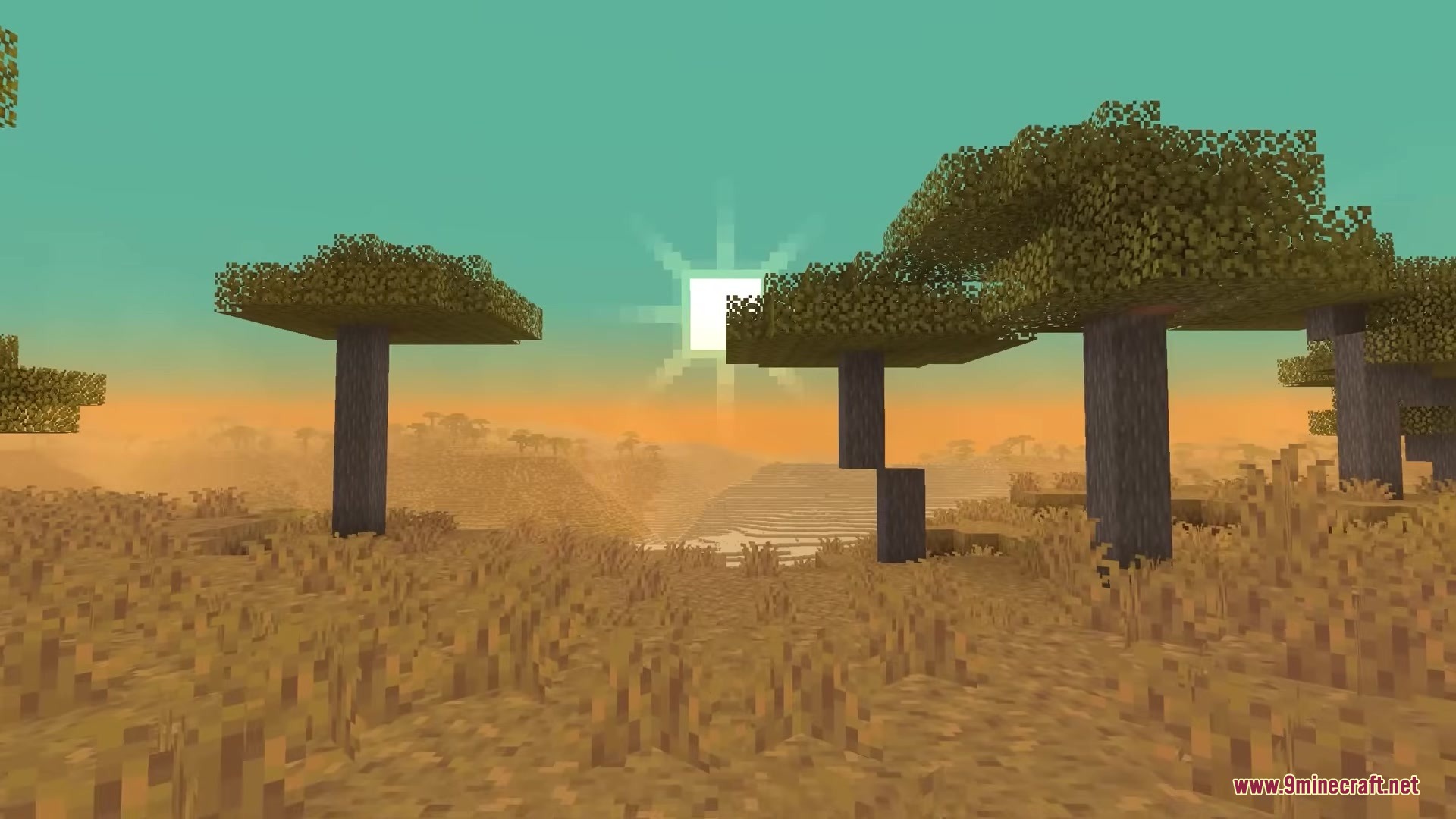 Acacia trees stand in a savanna landscape under a bright square sun