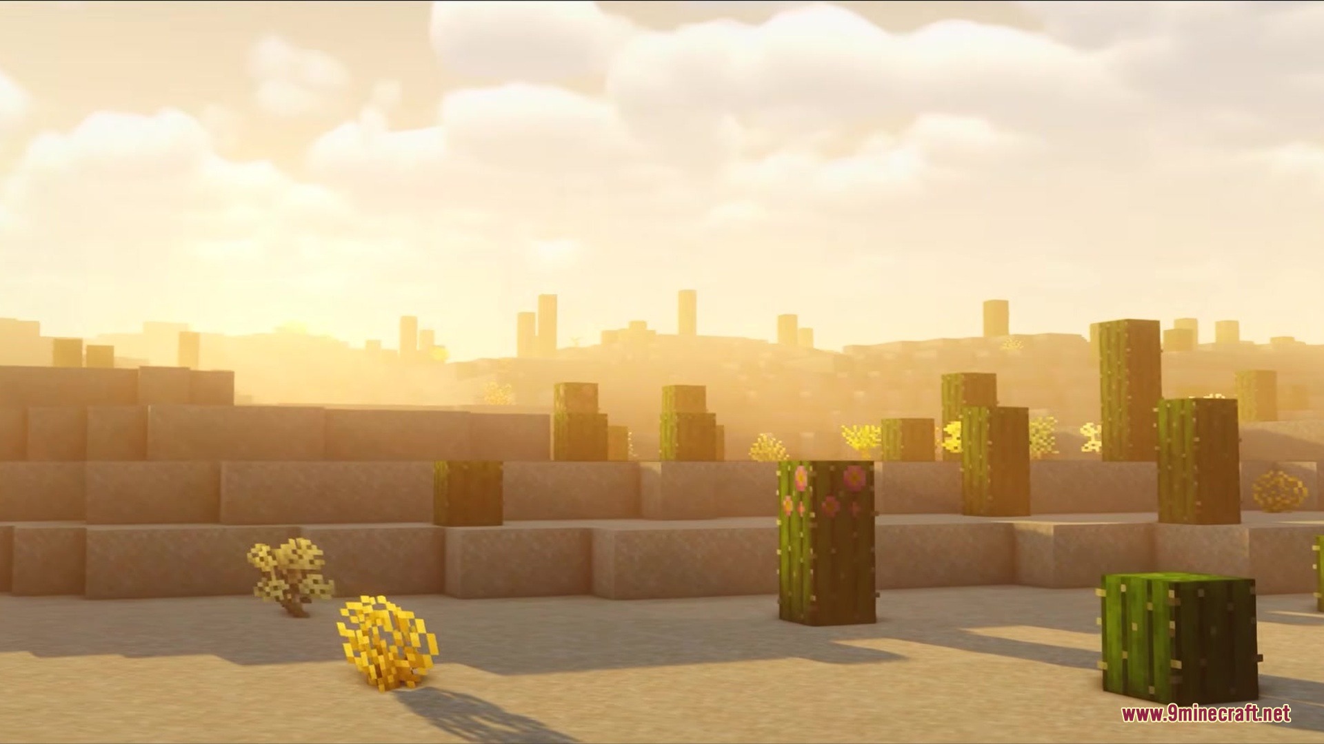 A warm sunset over a Minecraft desert with sand dunes and green cacti