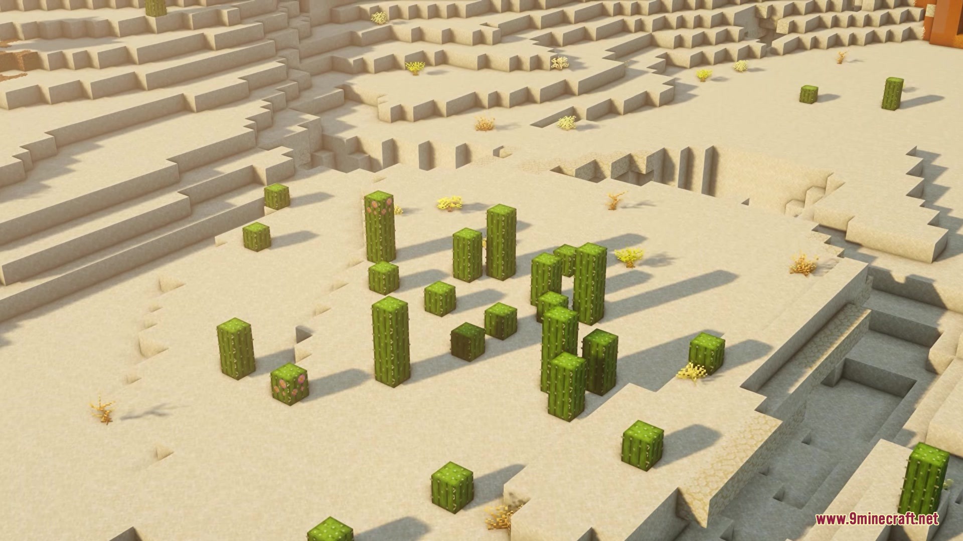 Green cacti and desert shrubs scattered across a vast sandy landscape