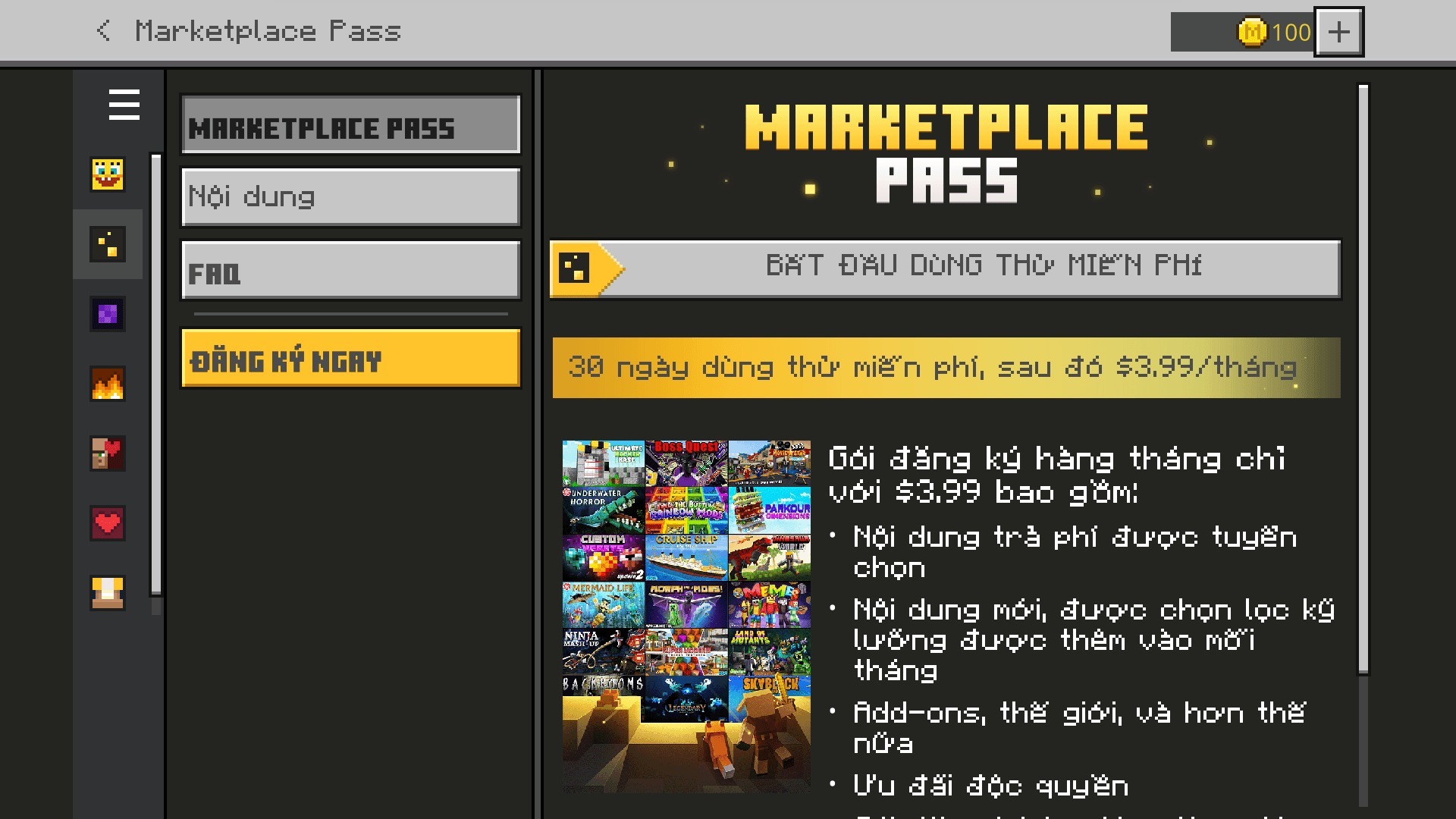 Marketplace Pass menu screen translated into Vietnamese showing subscription details and monthly pricing