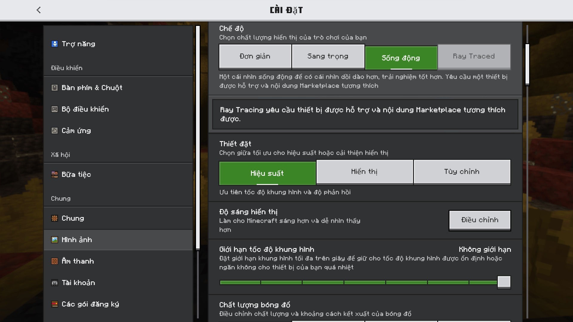 Minecraft settings menu with Vietnamese text for graphics performance and display configuration options