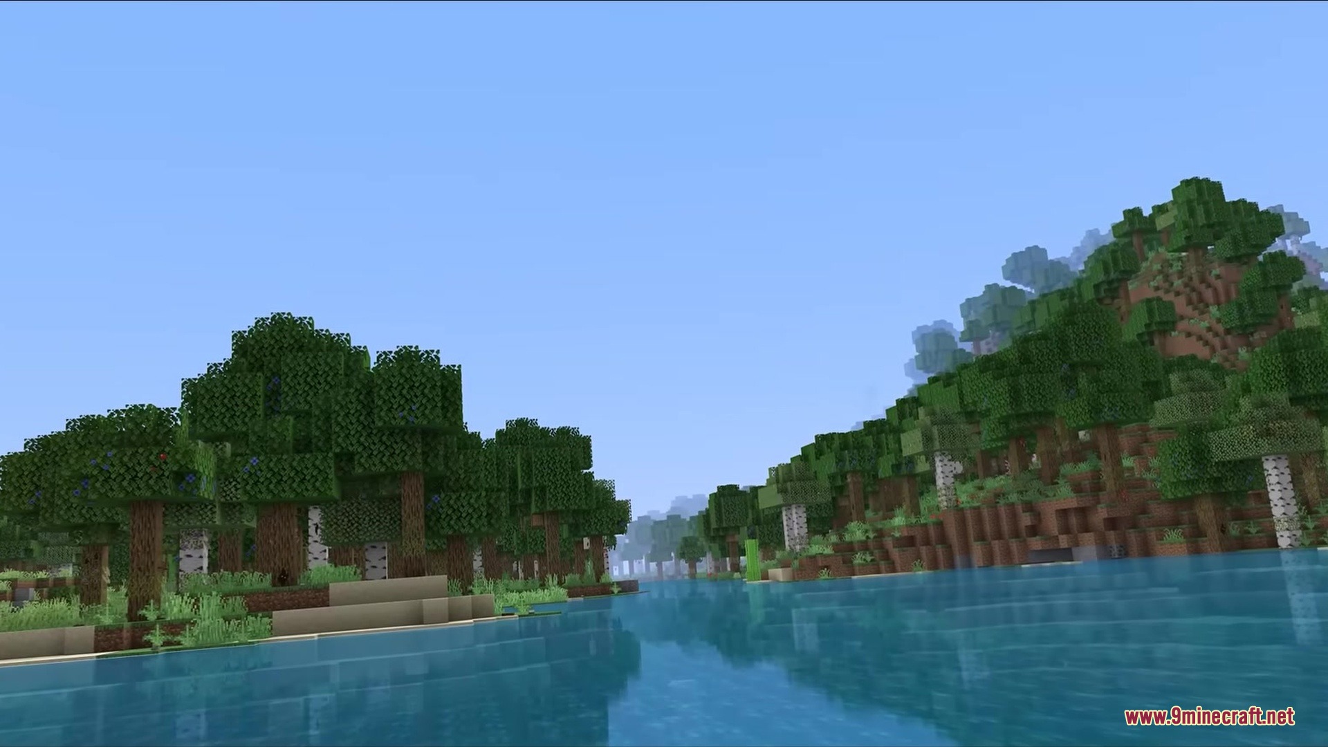Scenic view of a river flowing through a lush forest under clear skies