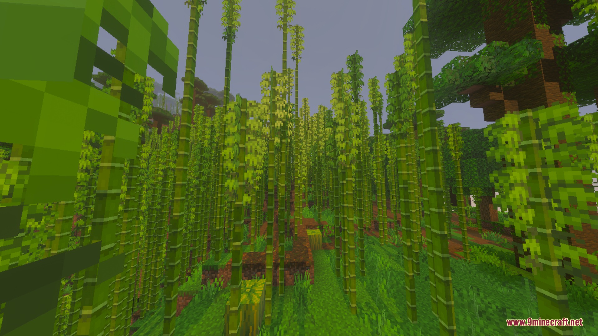 Toggle Night Vision Shader Screenshot 5