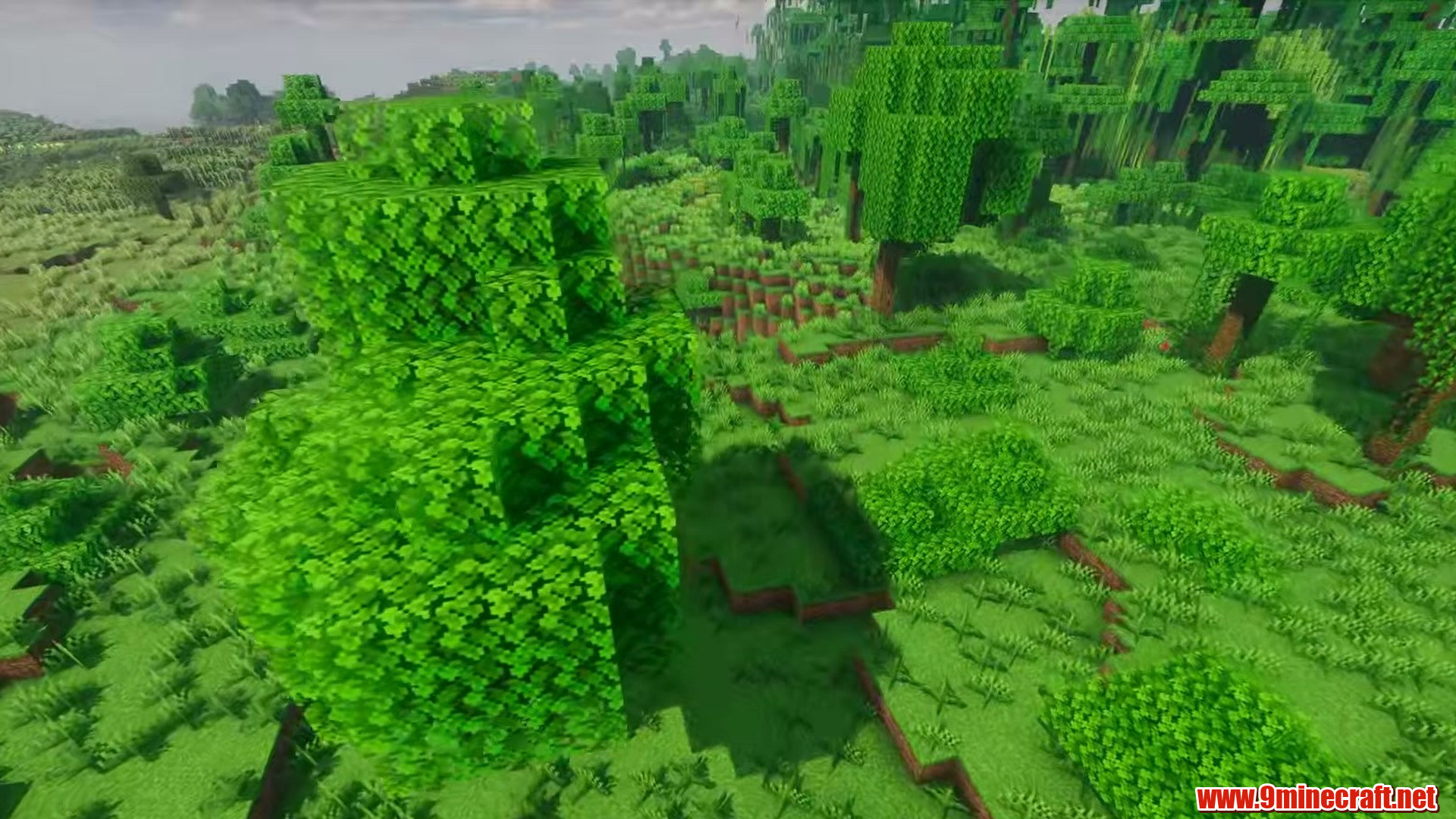 Birch forest edging flat plains in Minecraft seed 615999180913849370