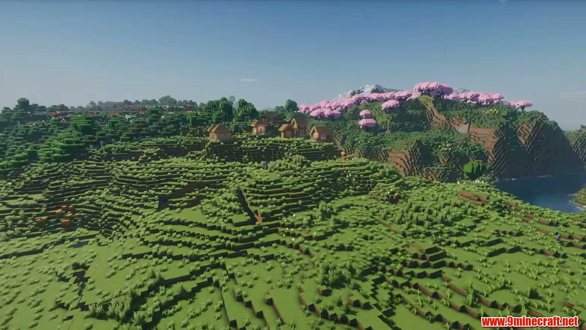 Sakura ridge above a village flat in Minecraft seed 7990752076527197784