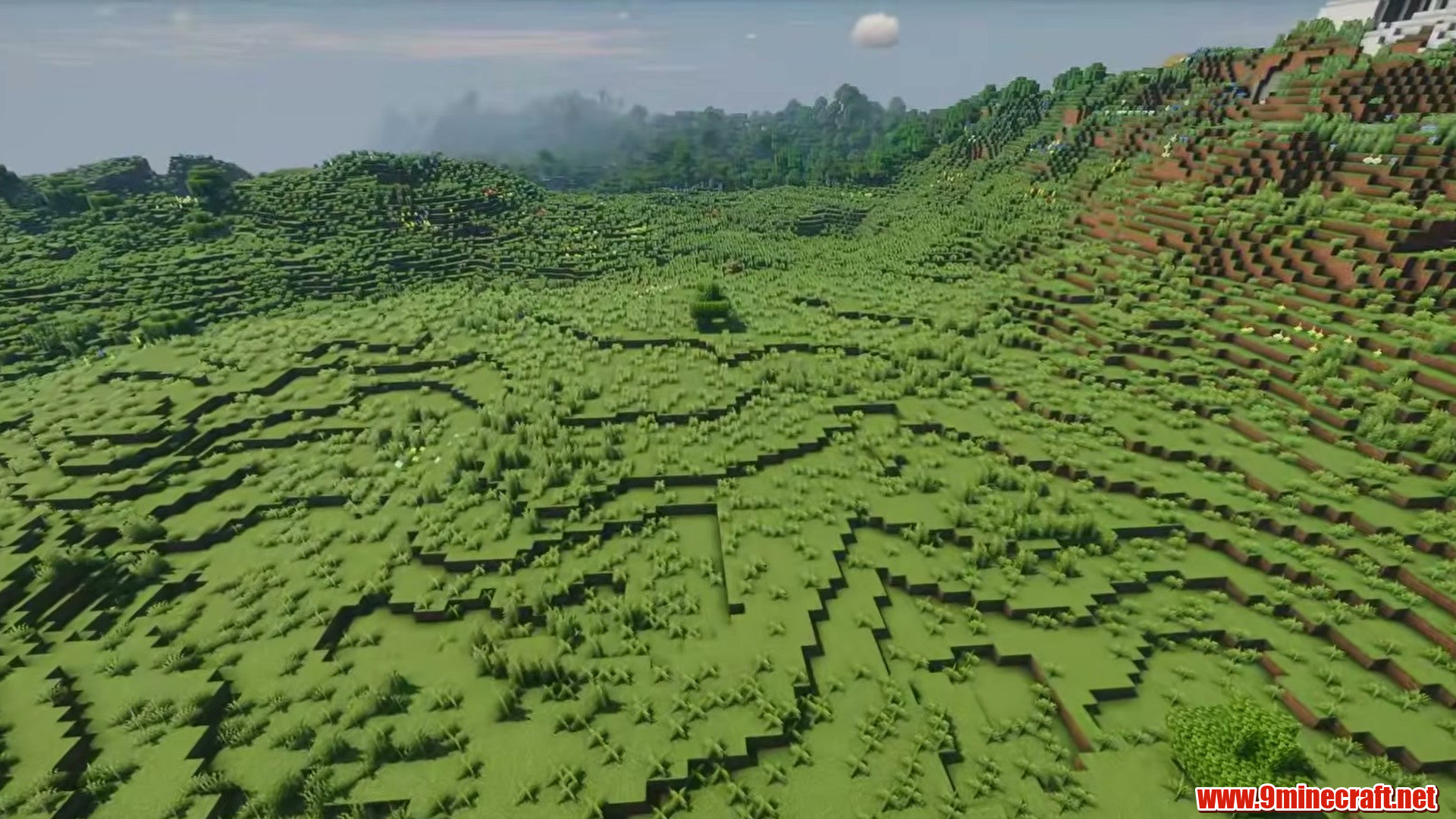 Soft green slope above the level ground
