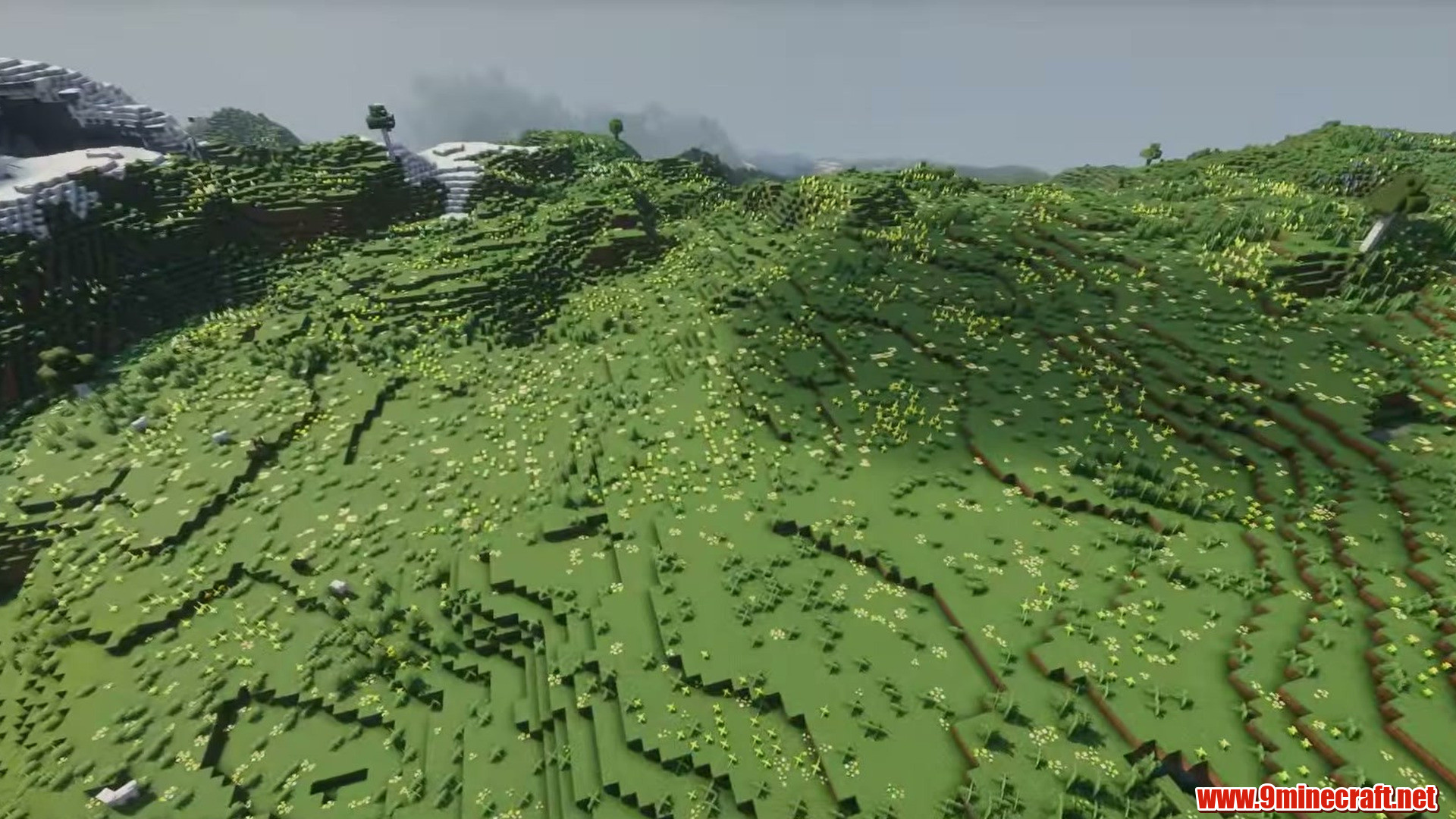 Meadow basin near spawn in Minecraft seed -4928862715525364273