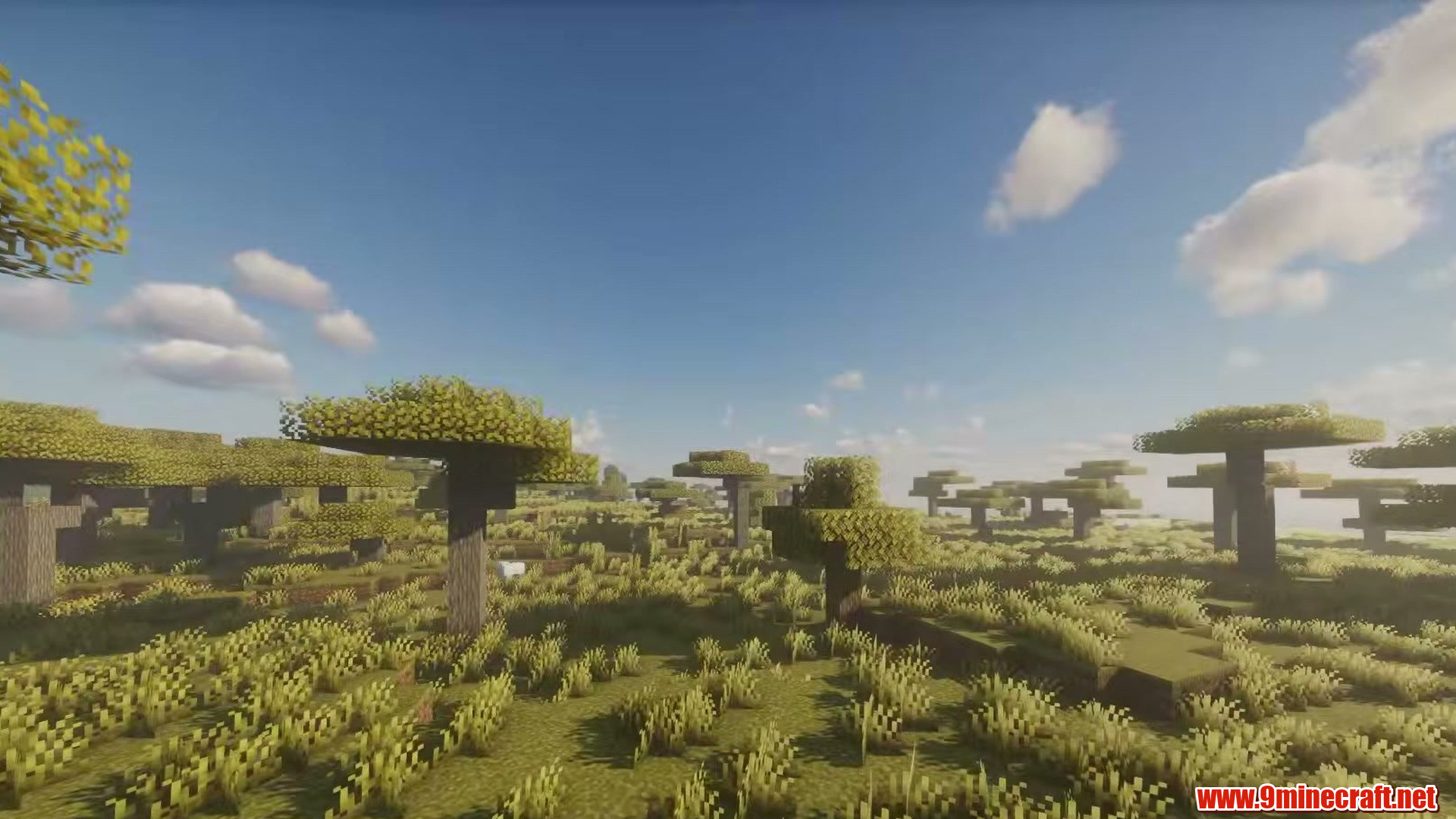 Flat savanna island in Minecraft seed 919441847540137471