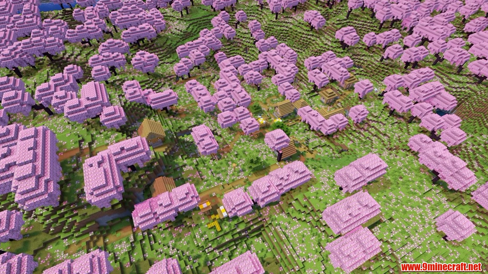 Cherry grove village at spawn in Minecraft seed 5780478663