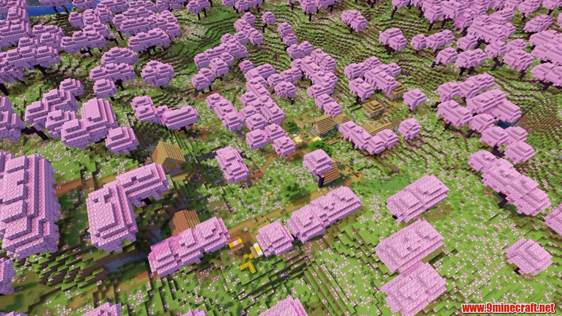Pink cherry trees over the village farms