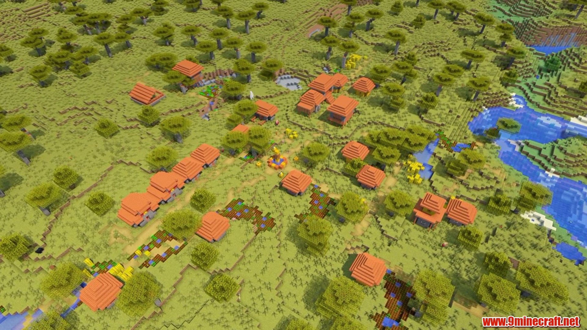 Acacia roofs across the savanna spawn