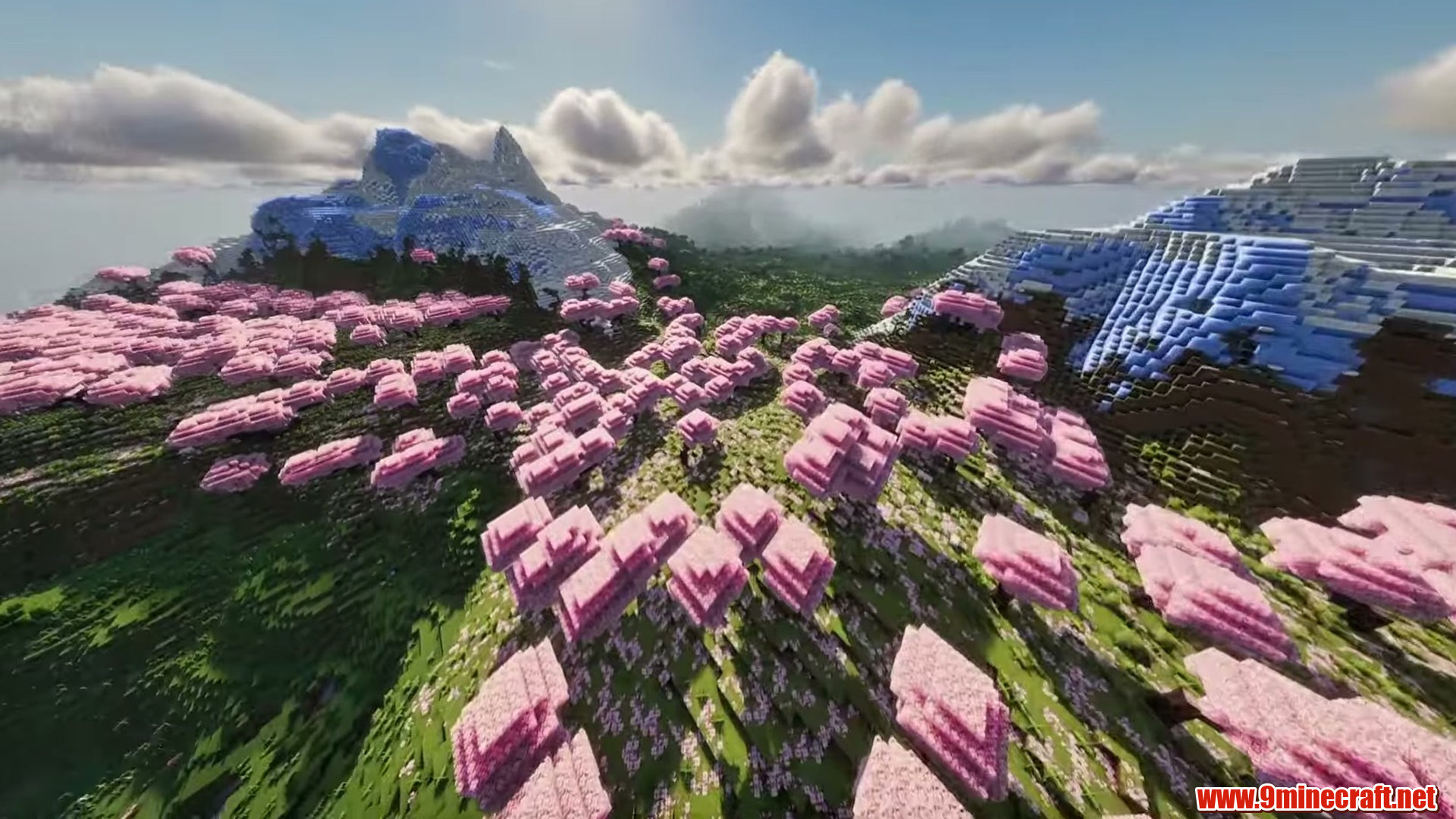 Cherry grove plateau in Minecraft seed -520903889