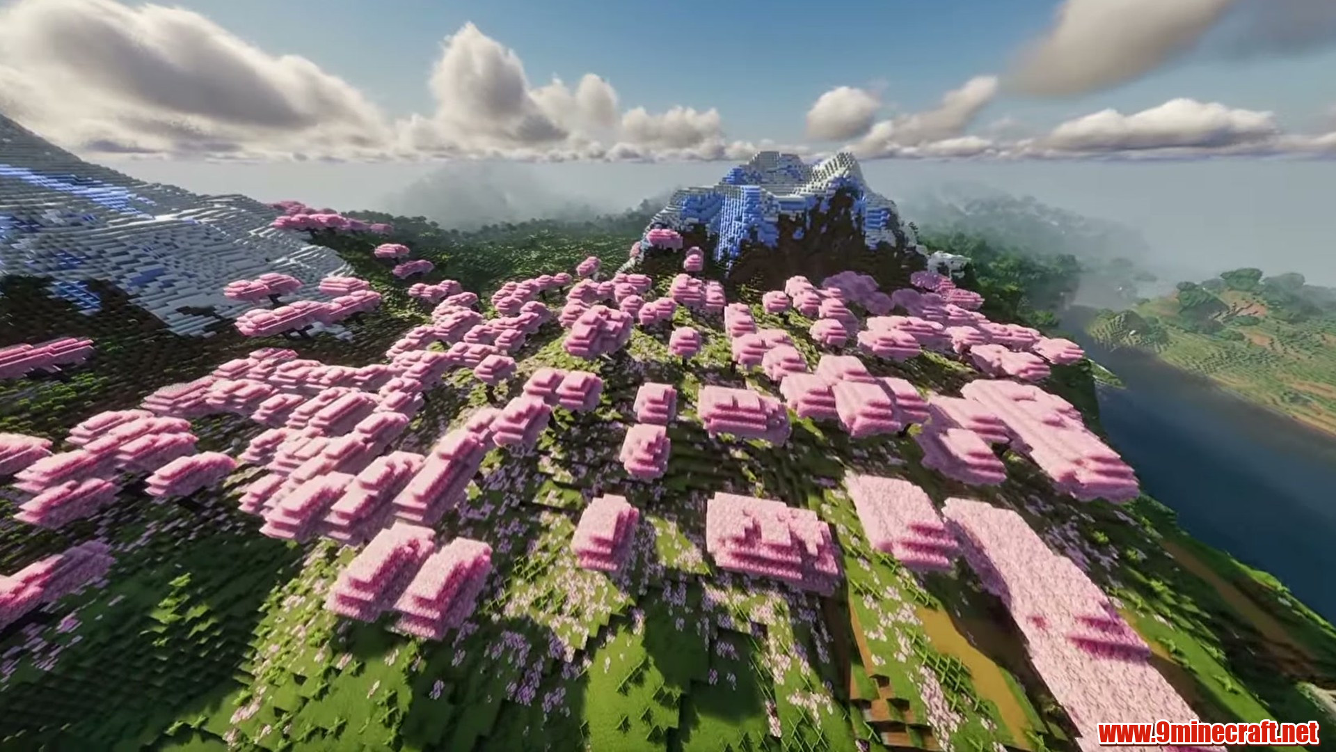 Snowy peaks rising above a huge cherry forest